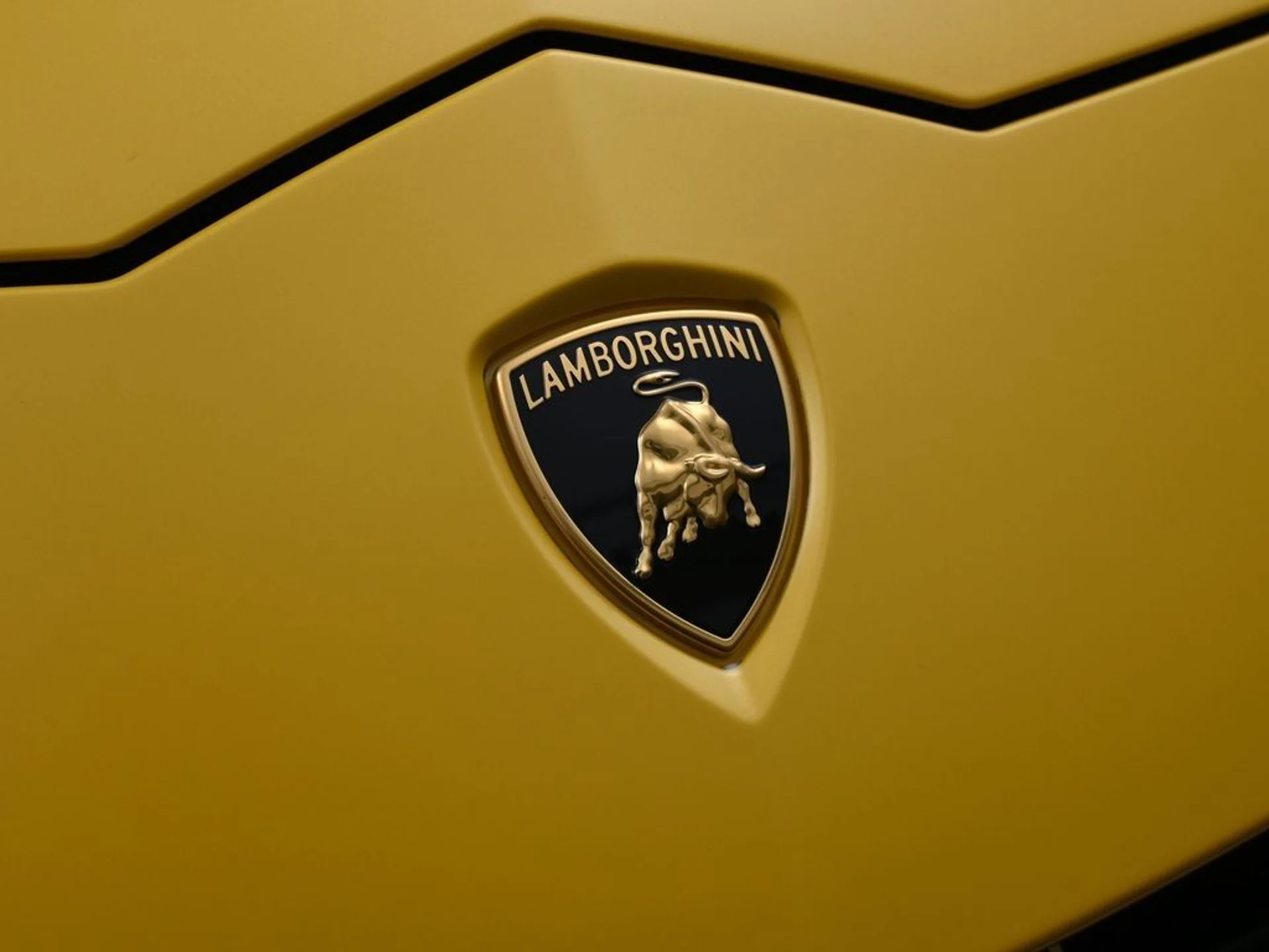 mph012_843455808_877486b52c85818ecc5ebdad346348c3_99011bd6bd