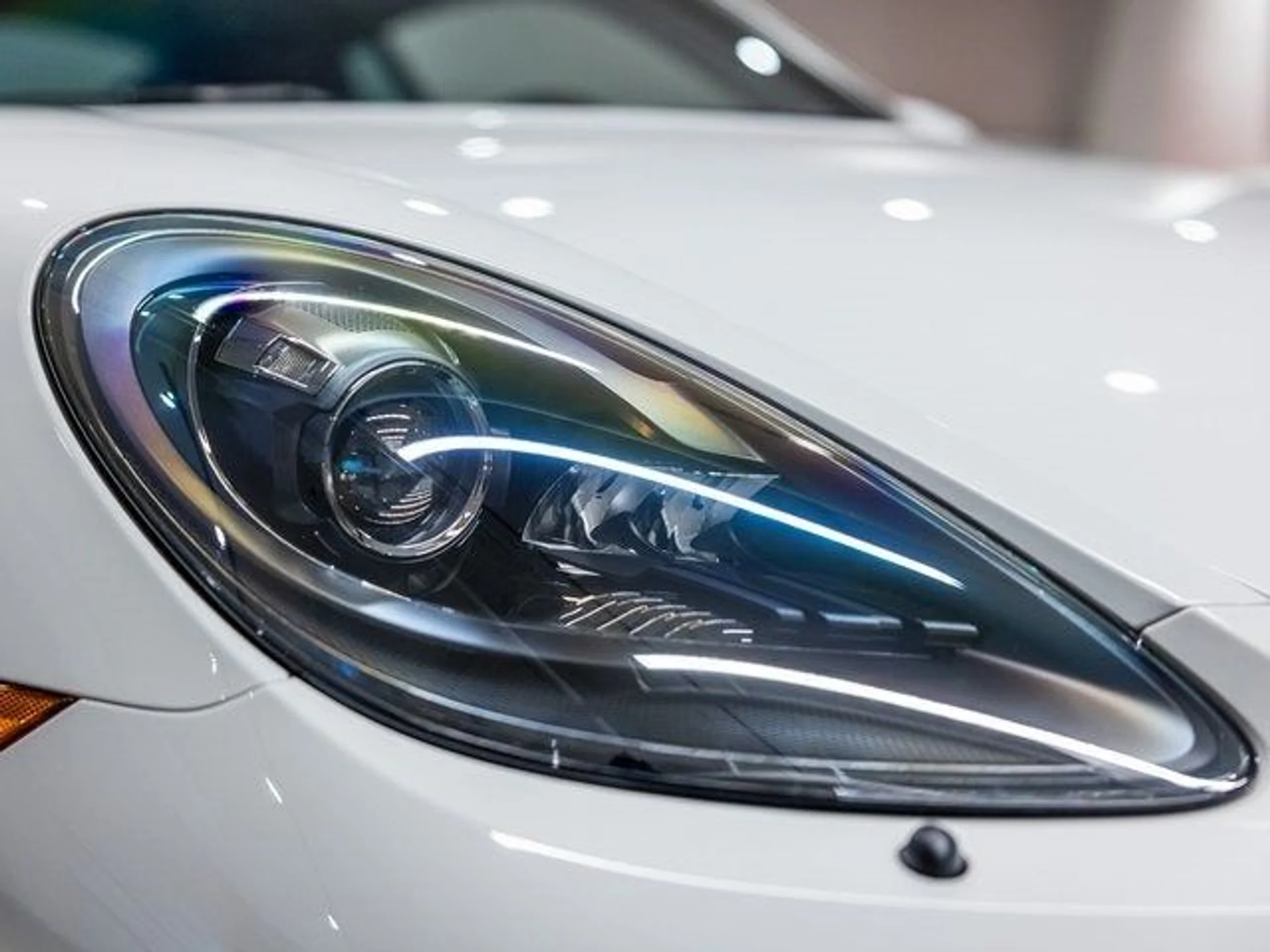 mph012_881258958_13_107197dd42