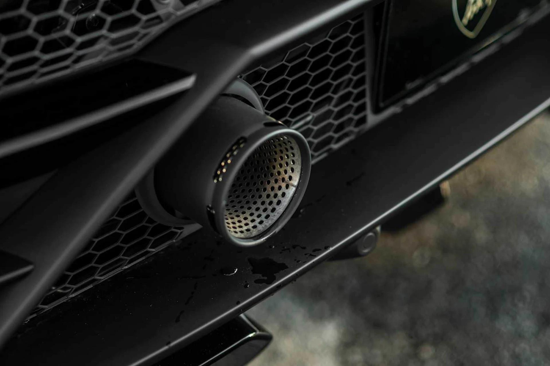 mph012_953387241_e8c7706e3a956923f5cf6ad710d899acx_9ef9f3e139