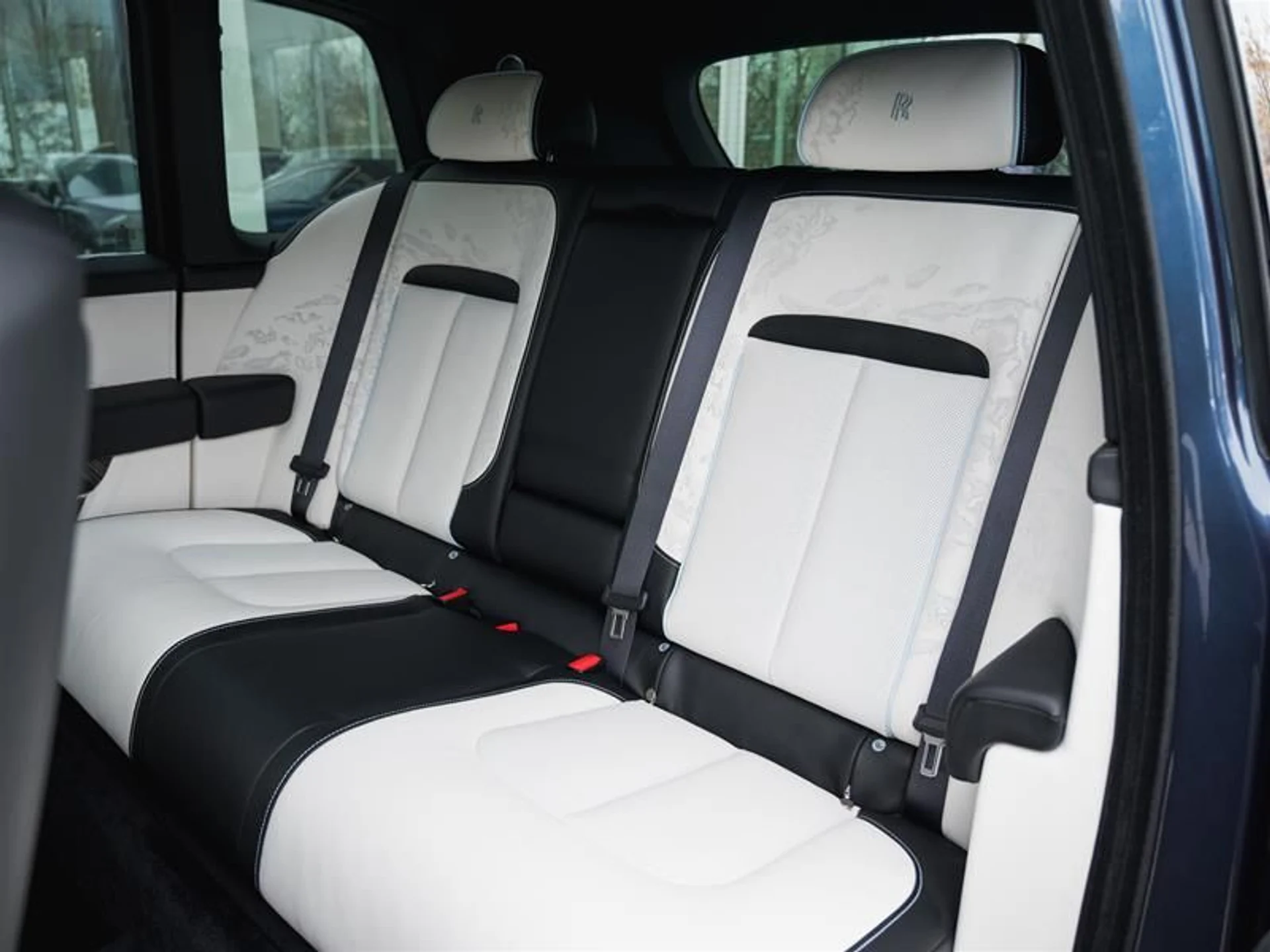 mph013_1011153183_g5fwg2fb_8b24534ae6