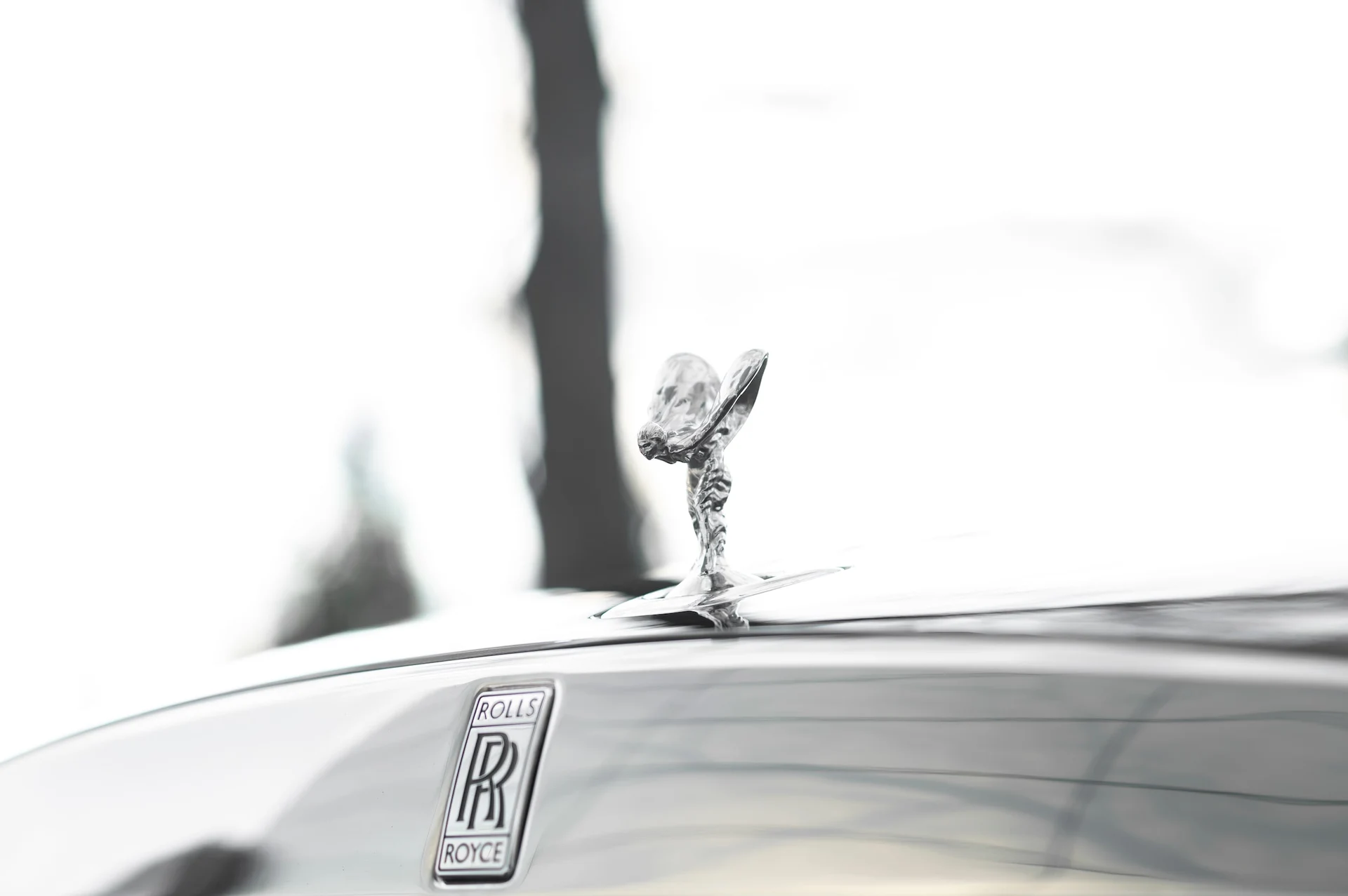 mph013_1237132443_c5ae6b9c91e74e67ae84216d0e7bc4c1_893c888b9a