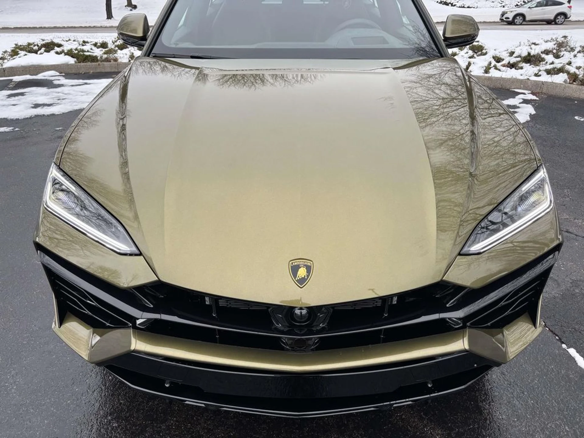 mph013_1255390464_2c08e8db07044830702756275cafe801x_ffa1bbe763