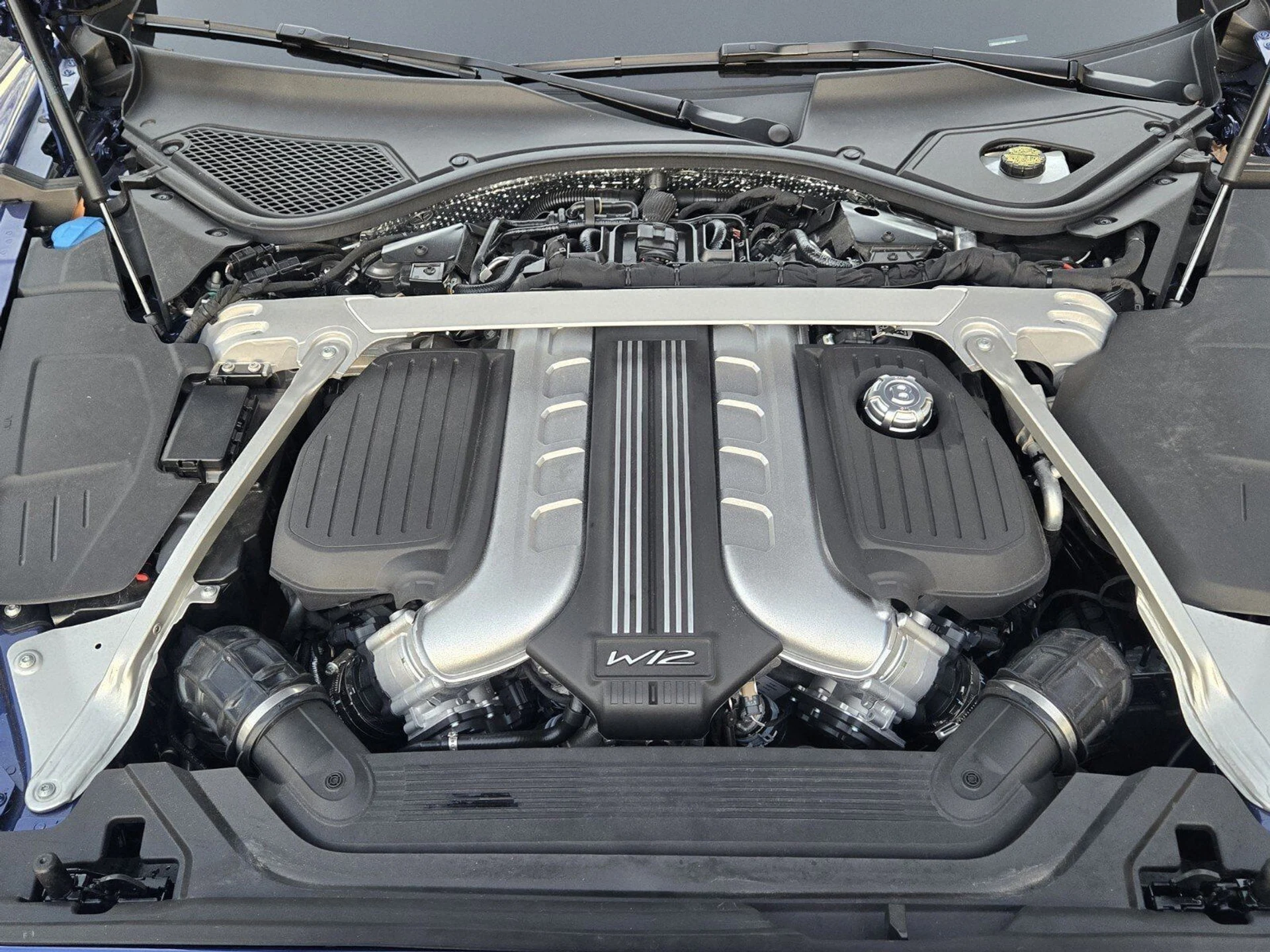 mph013_1259468904_9e4a0b6ec58126fdf5e47039ed137d62x_9fd3e2625e