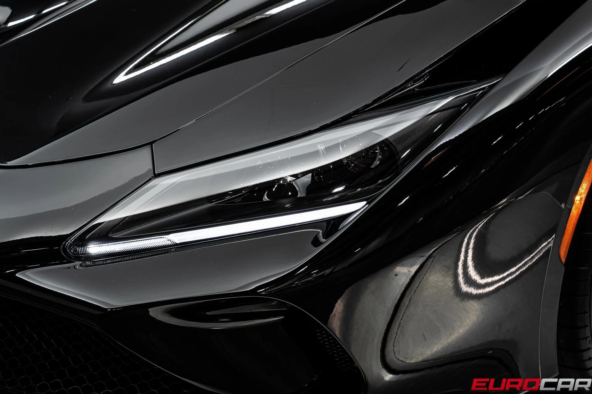 mph013_1283275231_image_14_ff7dd44ff4