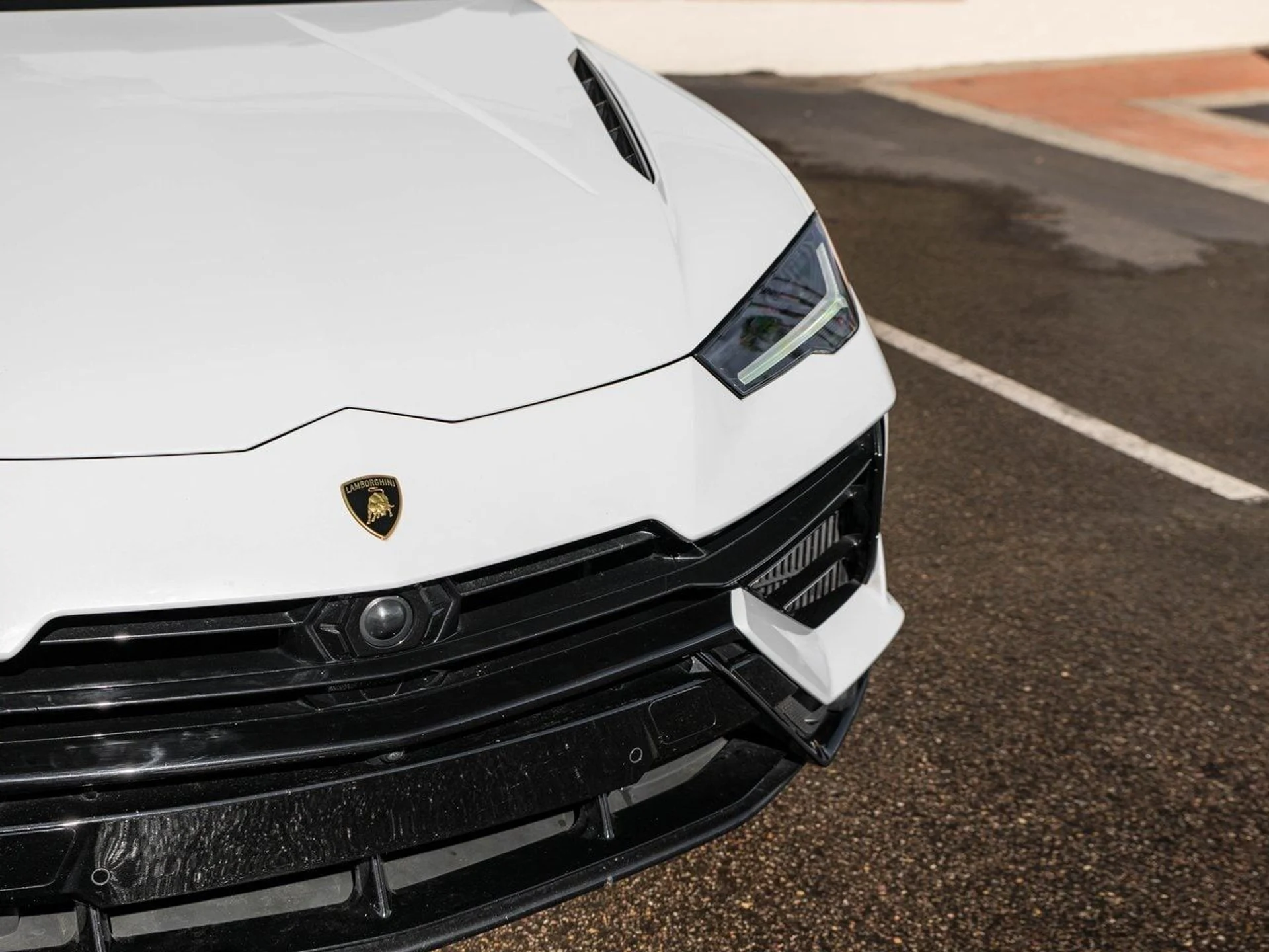 mph013_1286786166_80dbbd85dfaf59881e54f0183dd4848dx_7a41168dc9