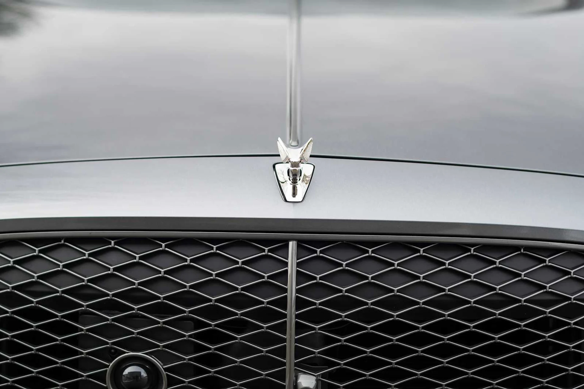 mph013_1333204247_6e67aad58025cd142e13b2b742225036x_ceef2f9786