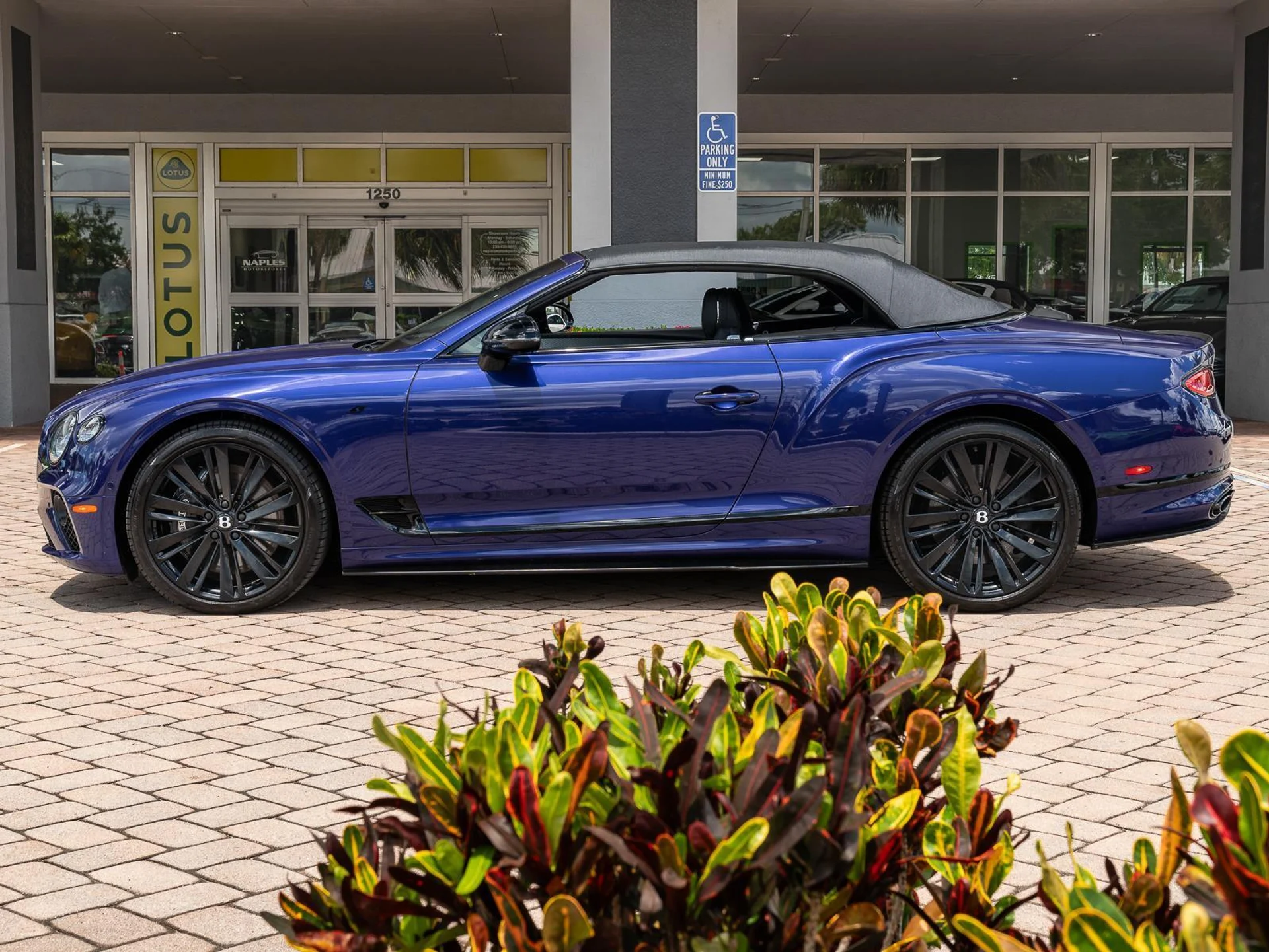 mph013_1393651700_Used_2023_Bentley_Continental_GTC_V8_1779224572_b296b17605