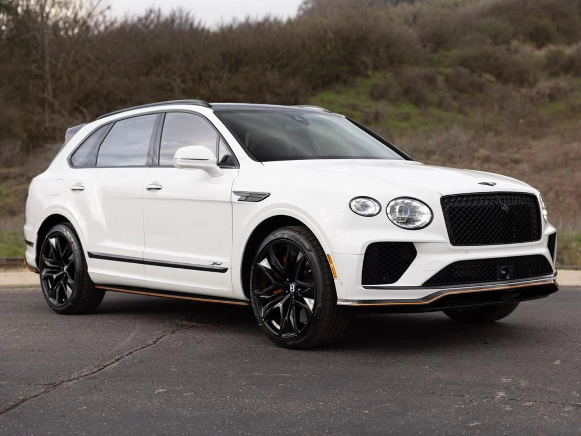 mph013_1446758575_480417655_69442332815a036f0aabfc10_440119b991