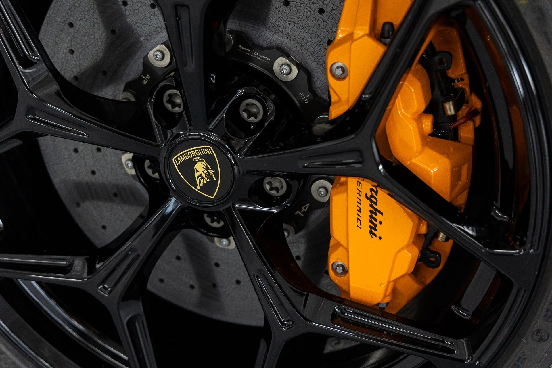 mph013_1474981370_8e856e4f5c1fe0b86dd23909bbbe9628x_2499cd3396