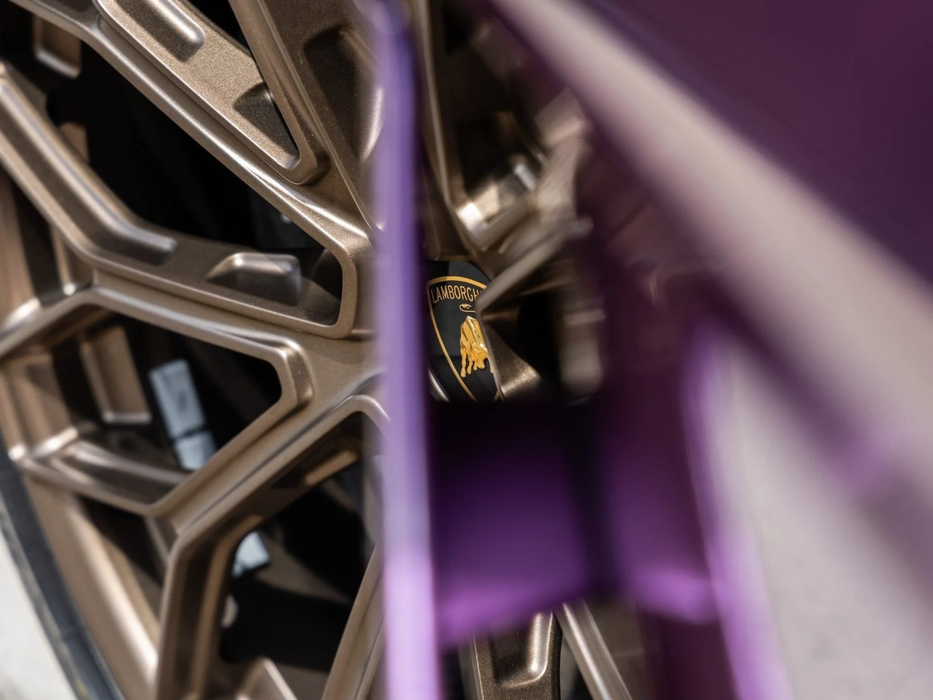 mph013_1576254576_14_0c12b683aa