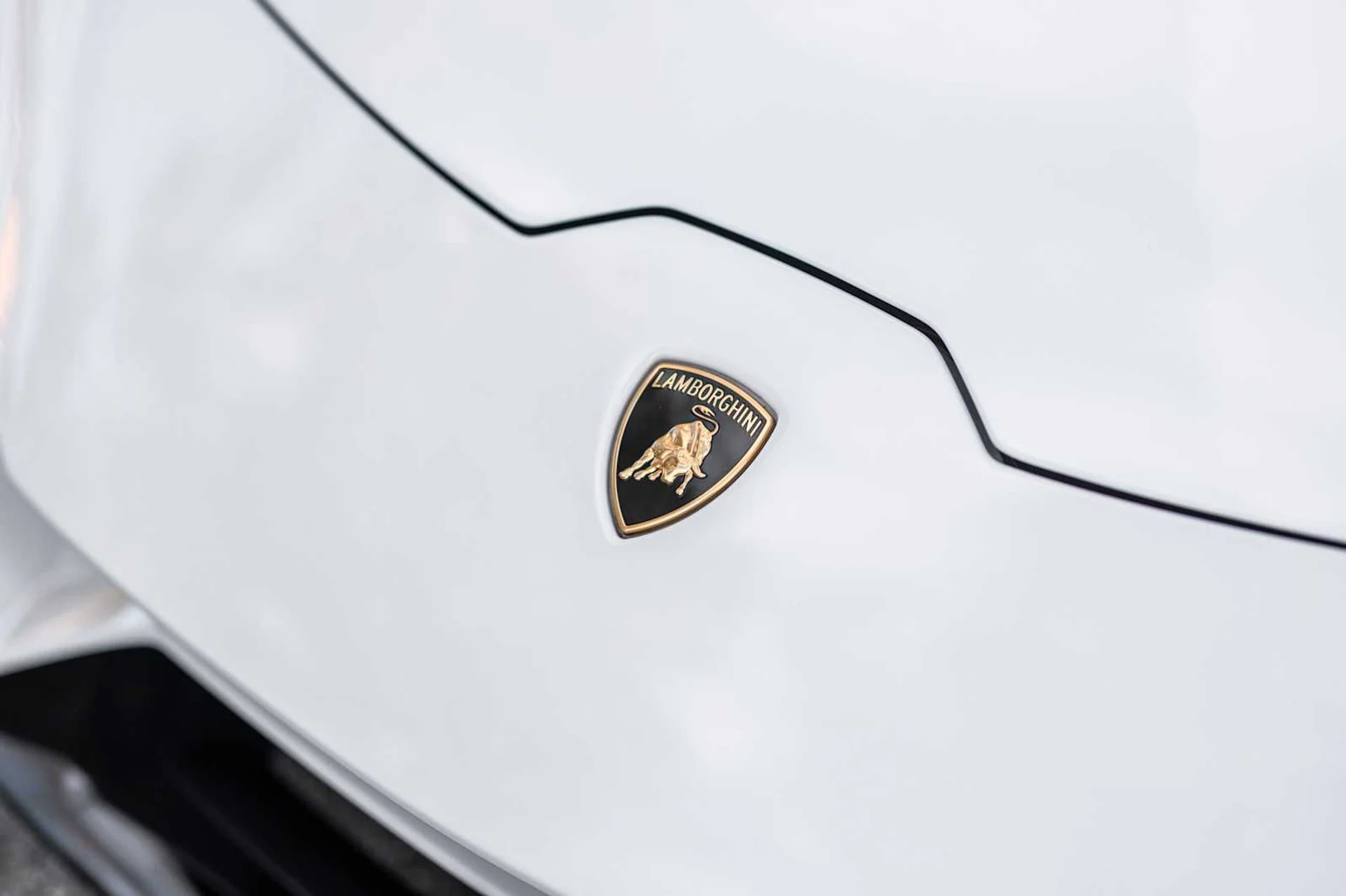 mph013_1650704811_1d89bc4227387471ab620d253290d344x_2b1115c5c2