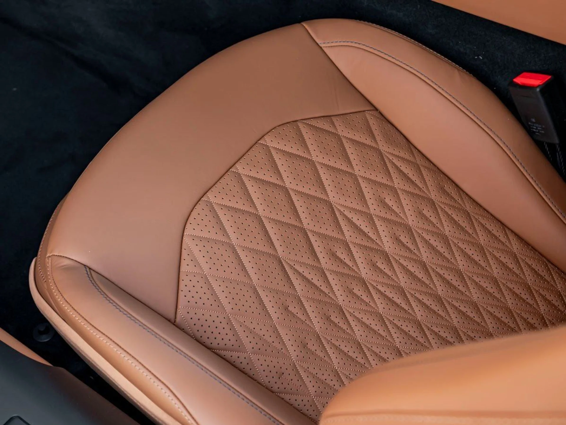 mph013_1667422709_14_e22684cd15