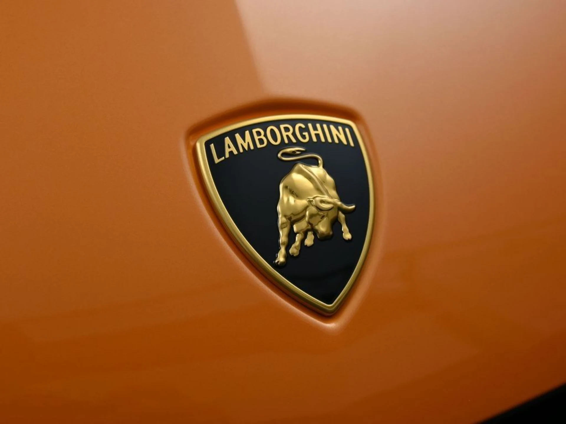 mph013_1692567792_image_13_b0e007a657