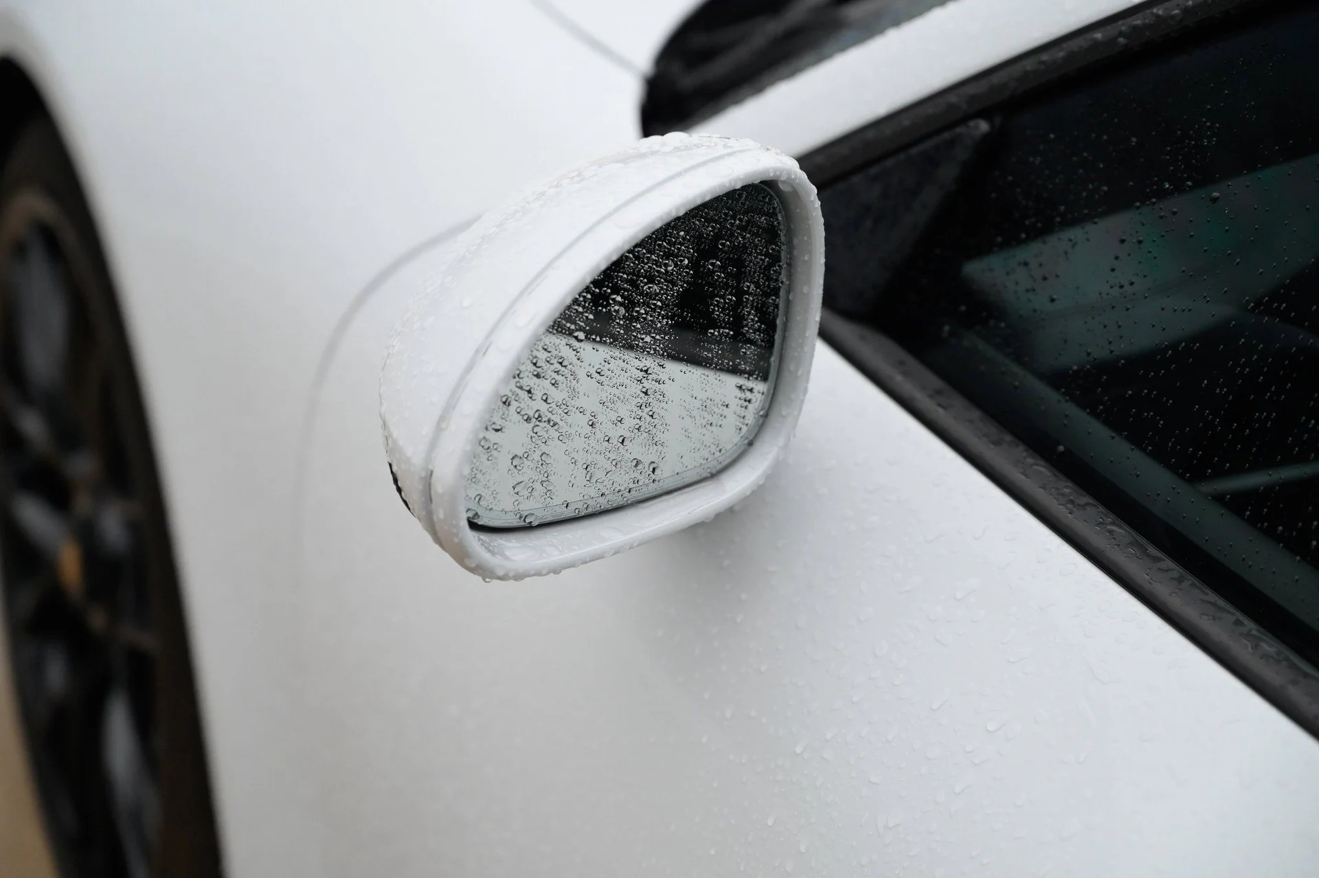 mph013_1703890952_d6d0a9e6867f40eb8b8d3c6fd5e54d4a_aba921ee76