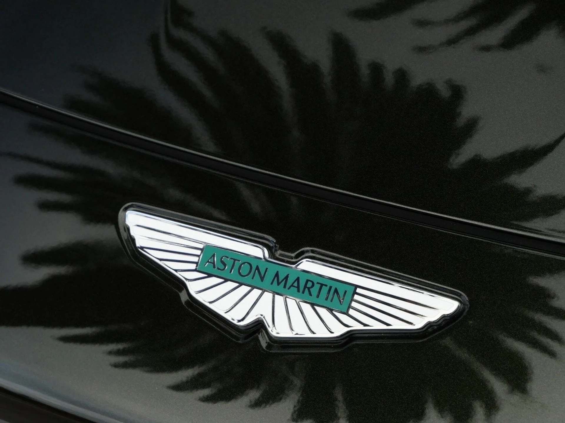 mph013_1770739127_f2d5cbe414cd5eeee6731c668db9eec9x_10c2bd7723