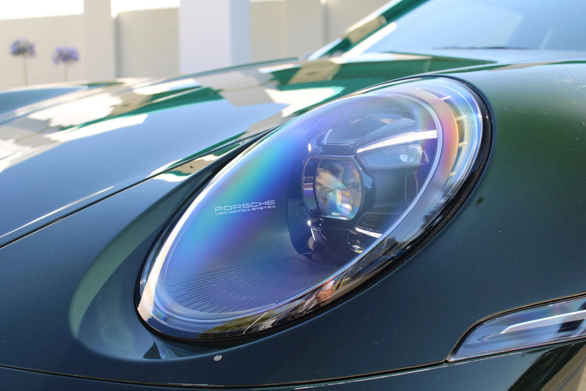 mph013_1900347101_db8dcb332f5566de9e4cc31f946a67a8x_efa1c572ee