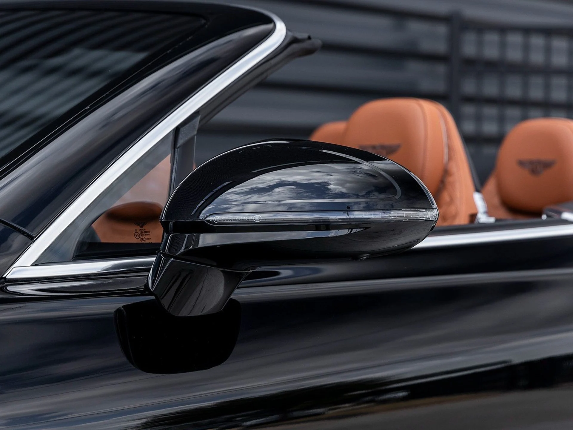 mph013_1902179454_14_c312576724