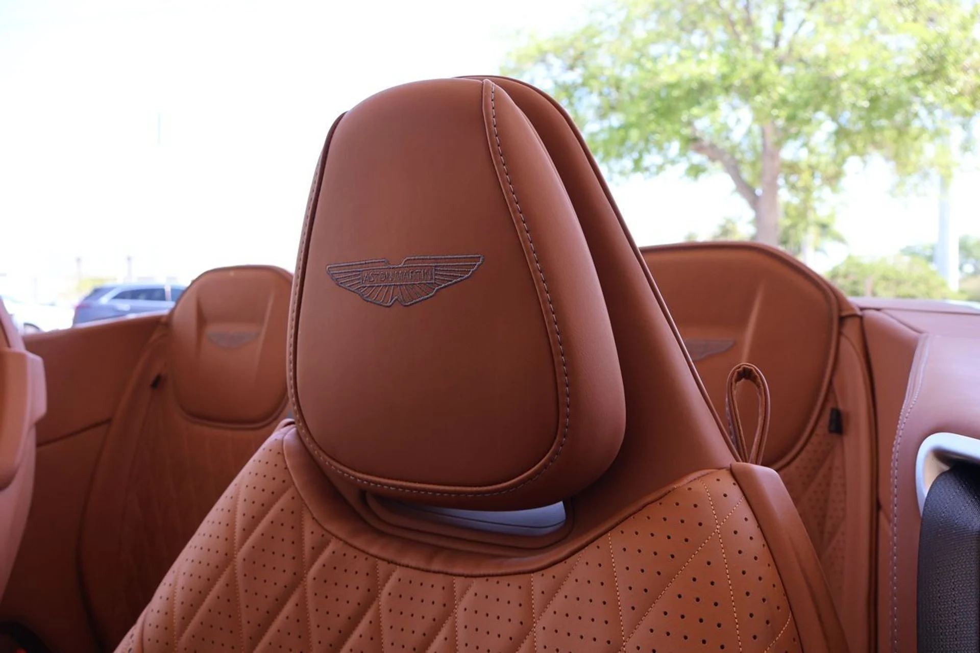 mph013_1902735891_14_b31c14605a