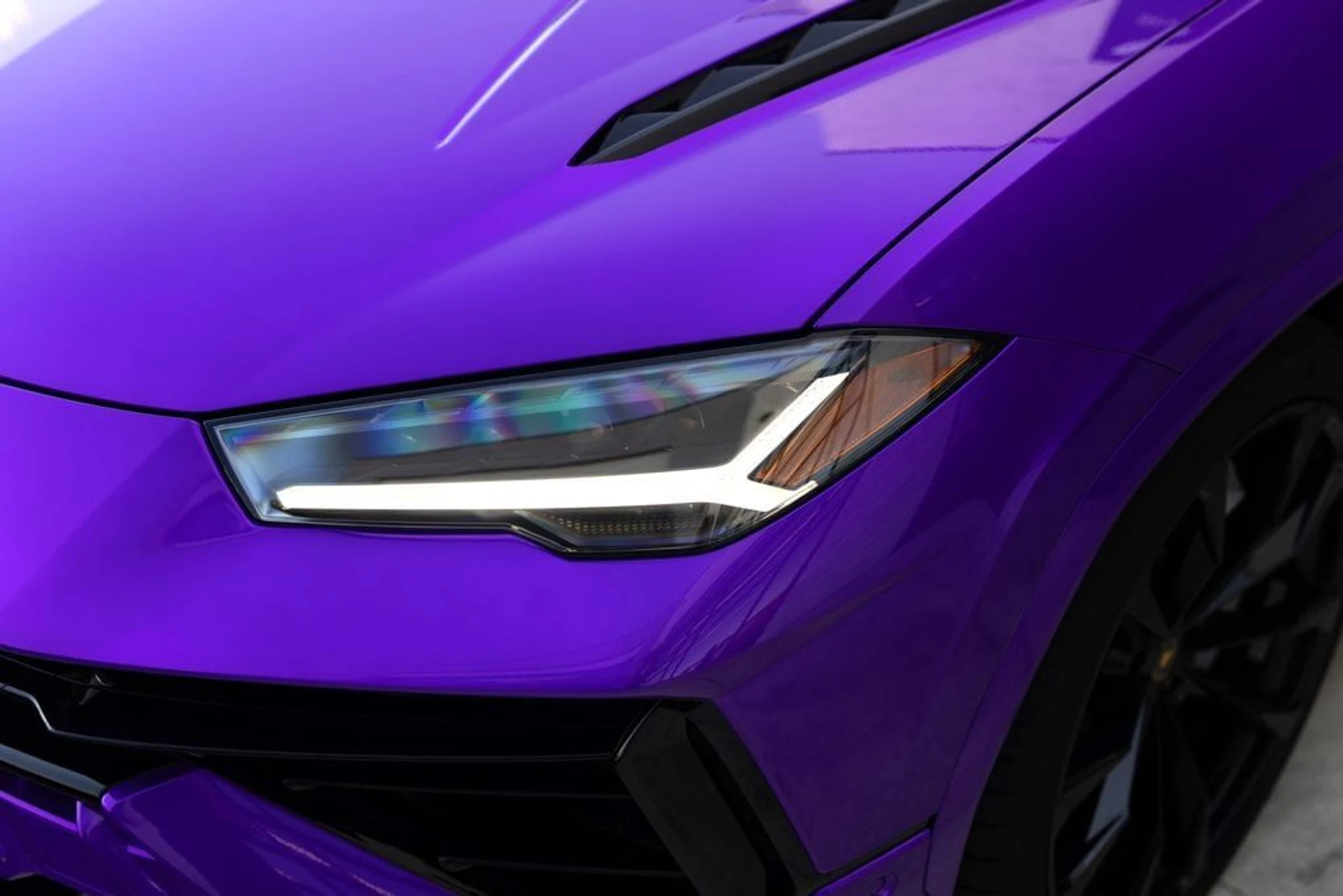 mph013_1966403705_a5f9d181940dc8546846fbc6accd22cbx_fc50861351