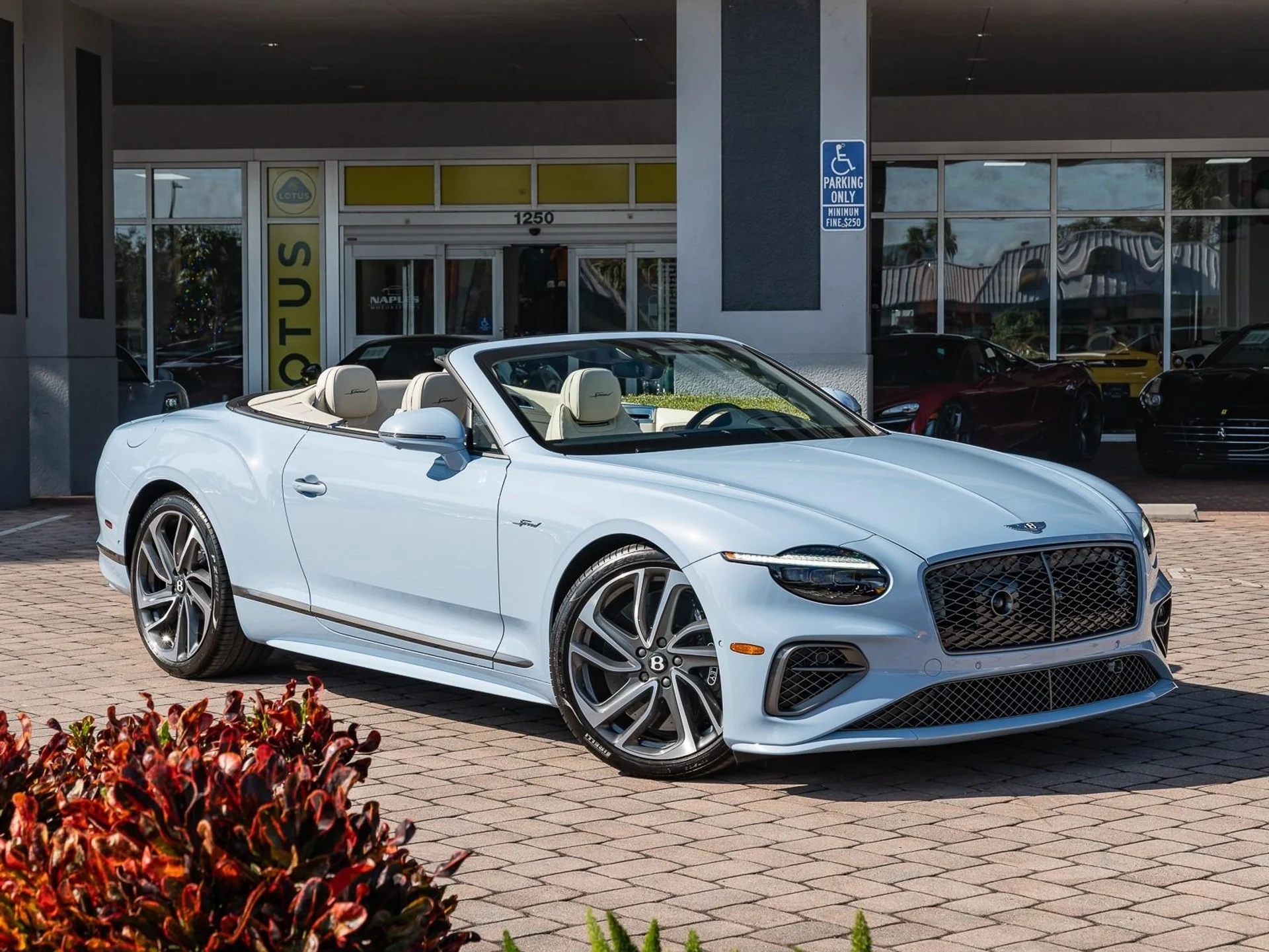 mph013_1974127234_Used_2025_Bentley_Continental_GT_Speed_1766181973_95d7ea71d6