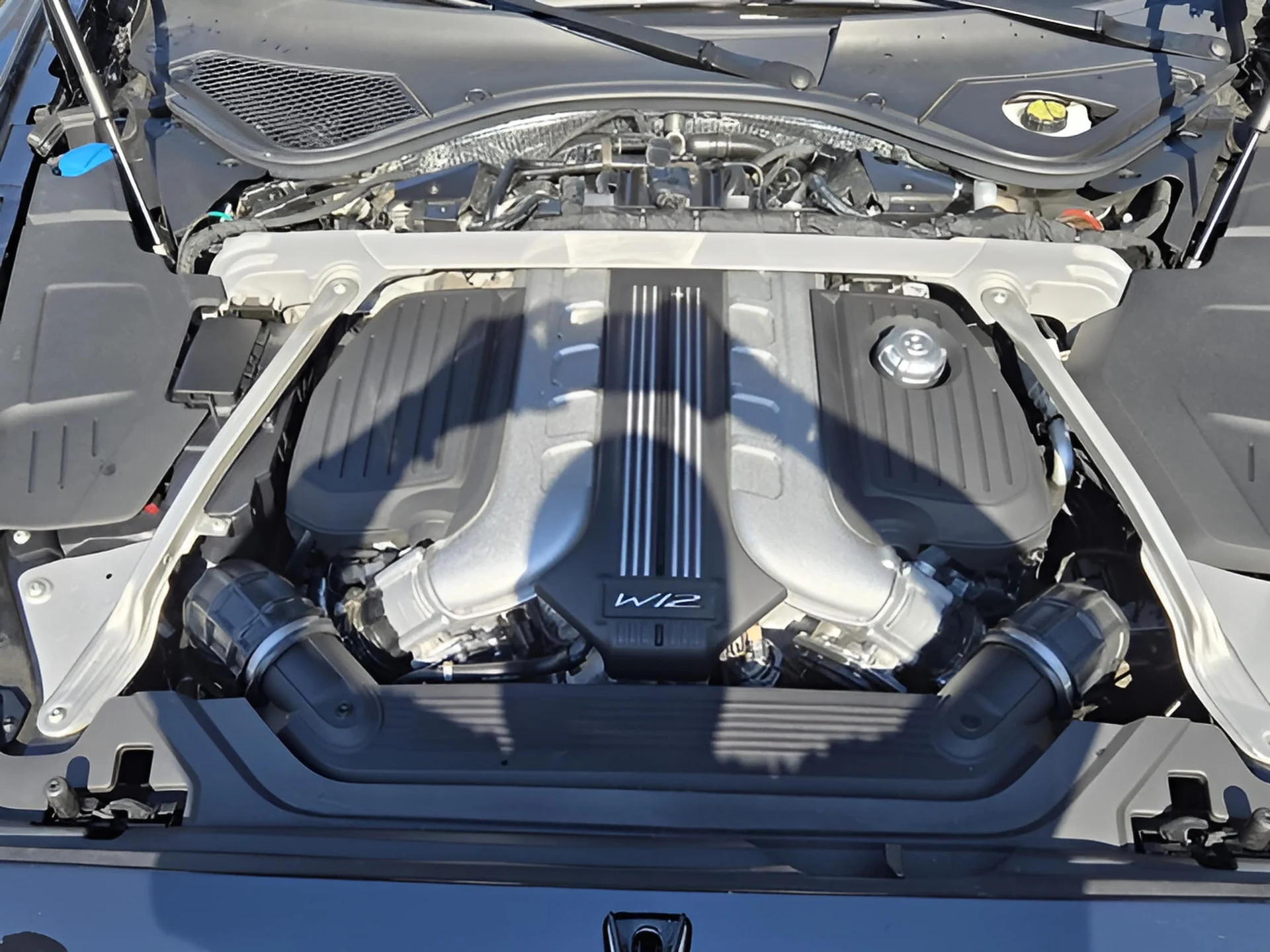 mph013_2032753163_8f23ff1a49b74ade1b910650150bfe15x_d458b84eac