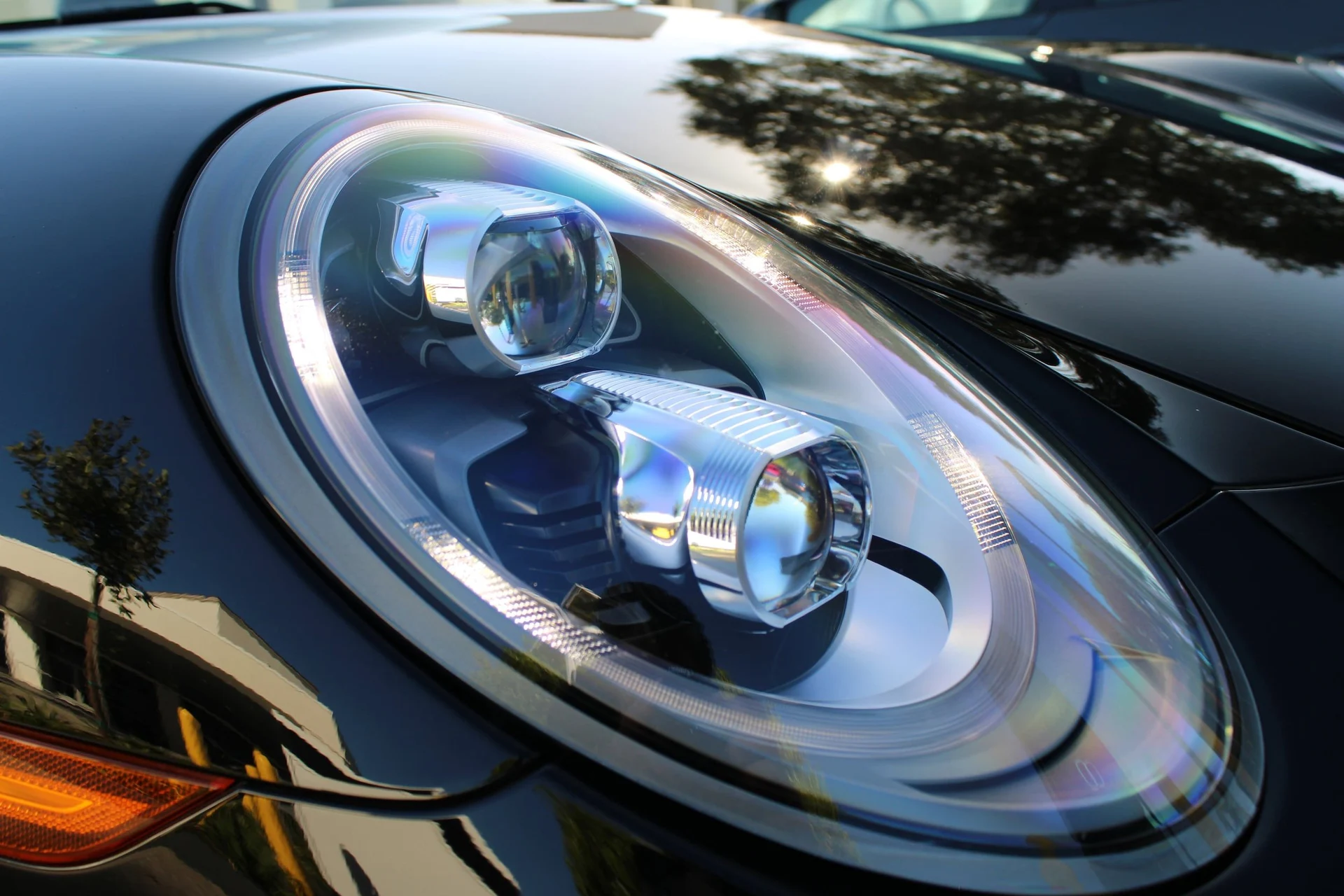 mph013_2058818875_fb6cc37344dd9302405b93e9da2706c9x_f015d57fd4