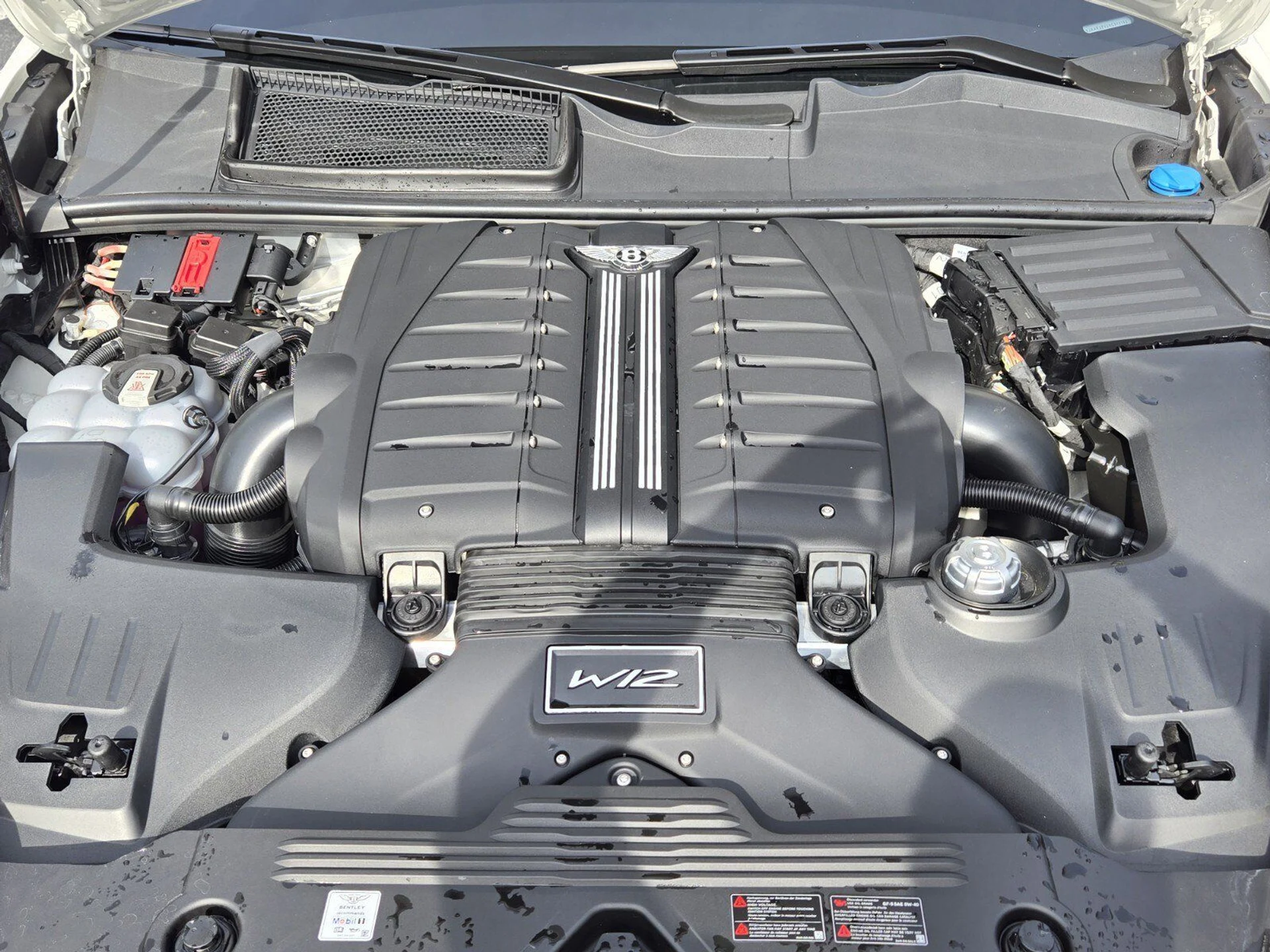 mph013_2097825959_d07e238b51cec669553c8152609cb878x_29ca3c16a8