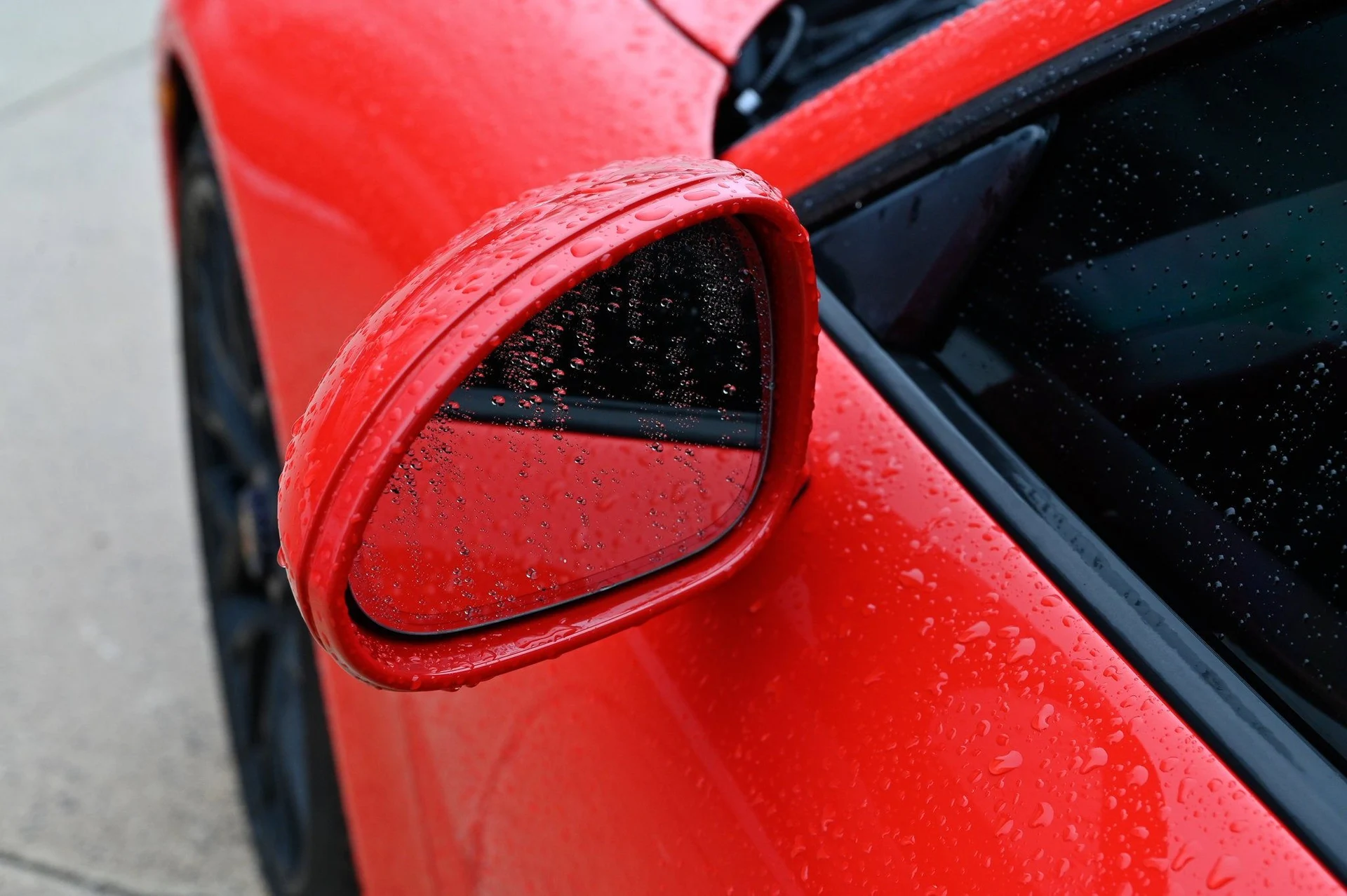 mph013_2099963575_9d84a581c17344fa87087bb0e1b6d089_516e8a26fb