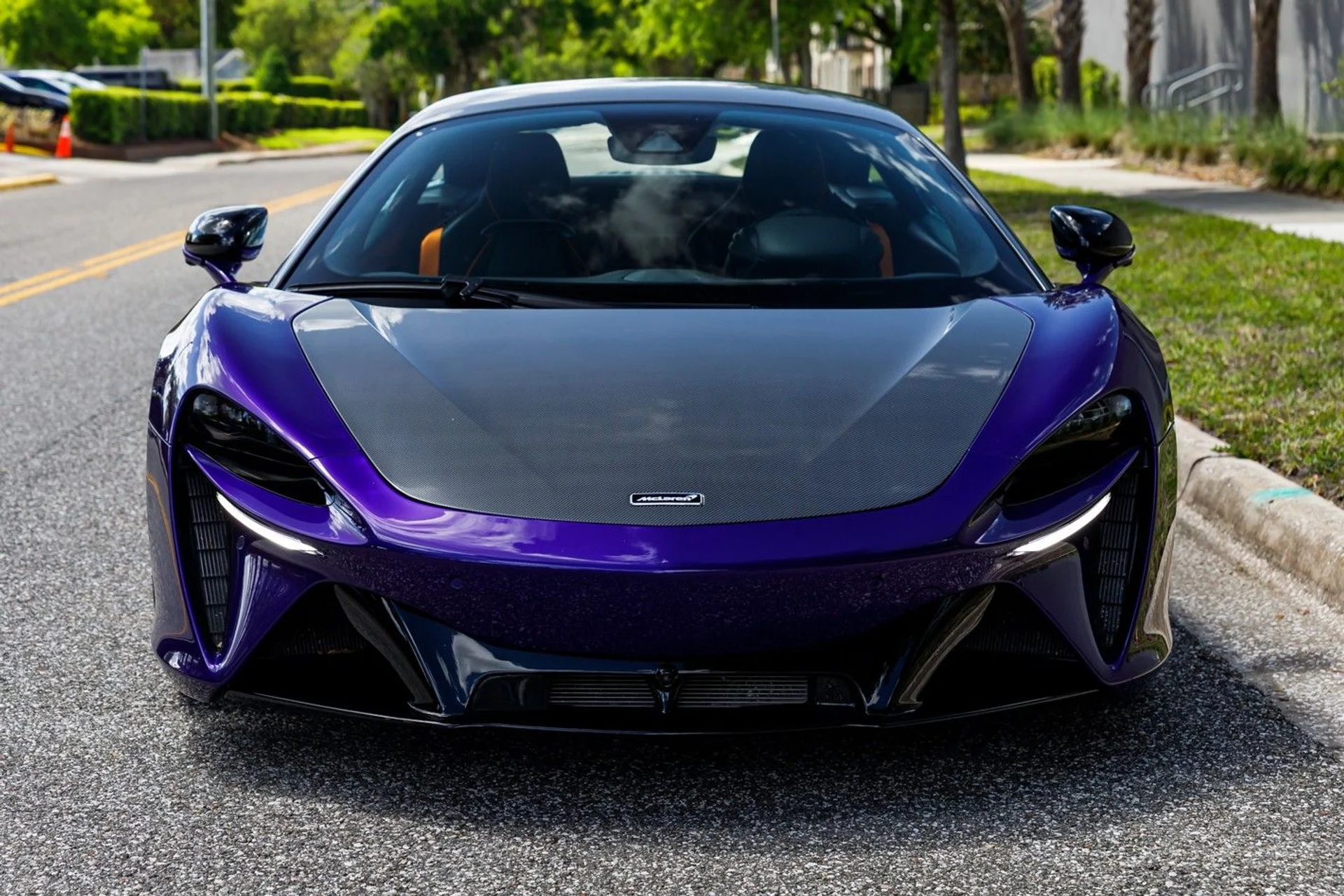 mph013_2173009568_362_p14_l_00161330e6