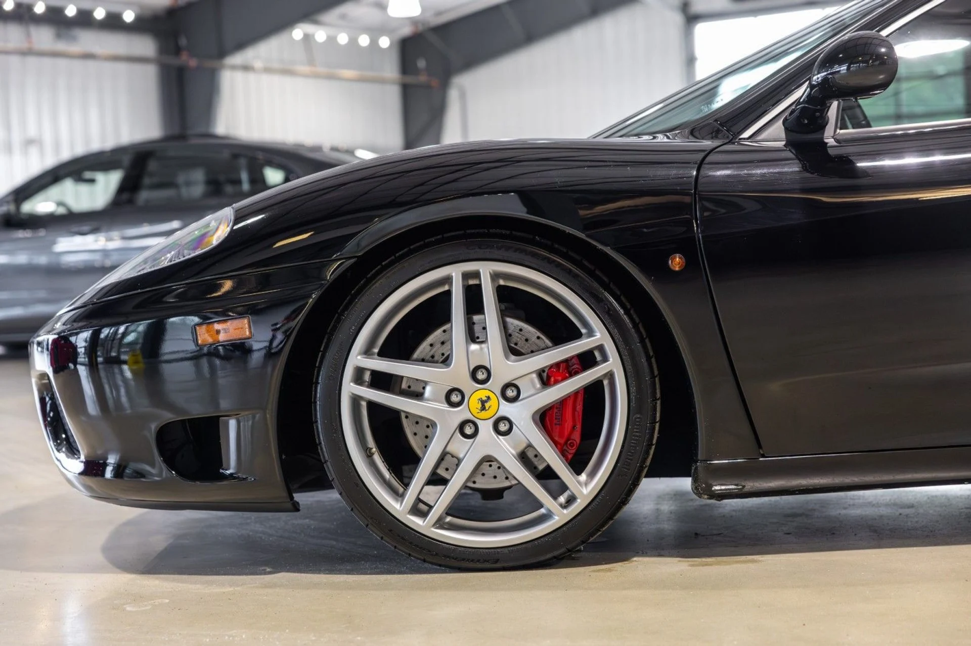 mph013_2203075898_Mw_b2b8e92843