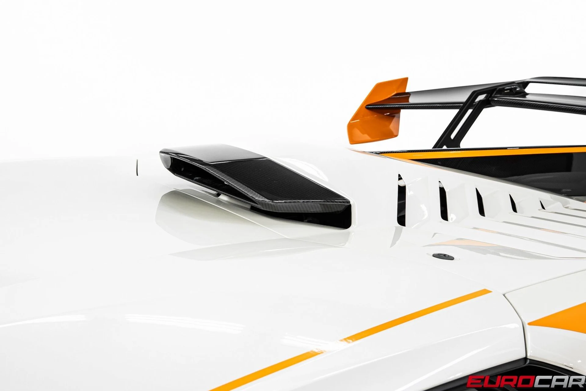 mph013_2228676179_image_14_5170455f7a