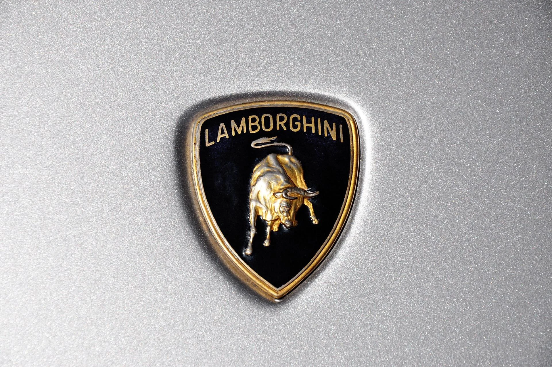 mph013_2308841221_192_p14_l_a5ccf793c6