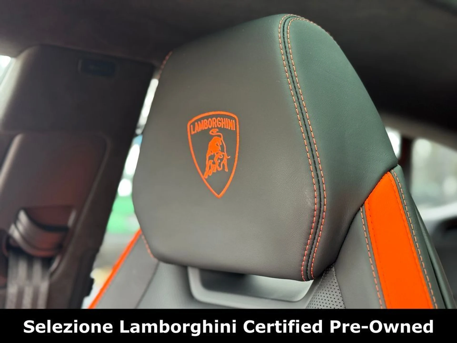 mph013_2342345480_6cd57a137857d7c9d6990cb999b05d17x_42abad0296