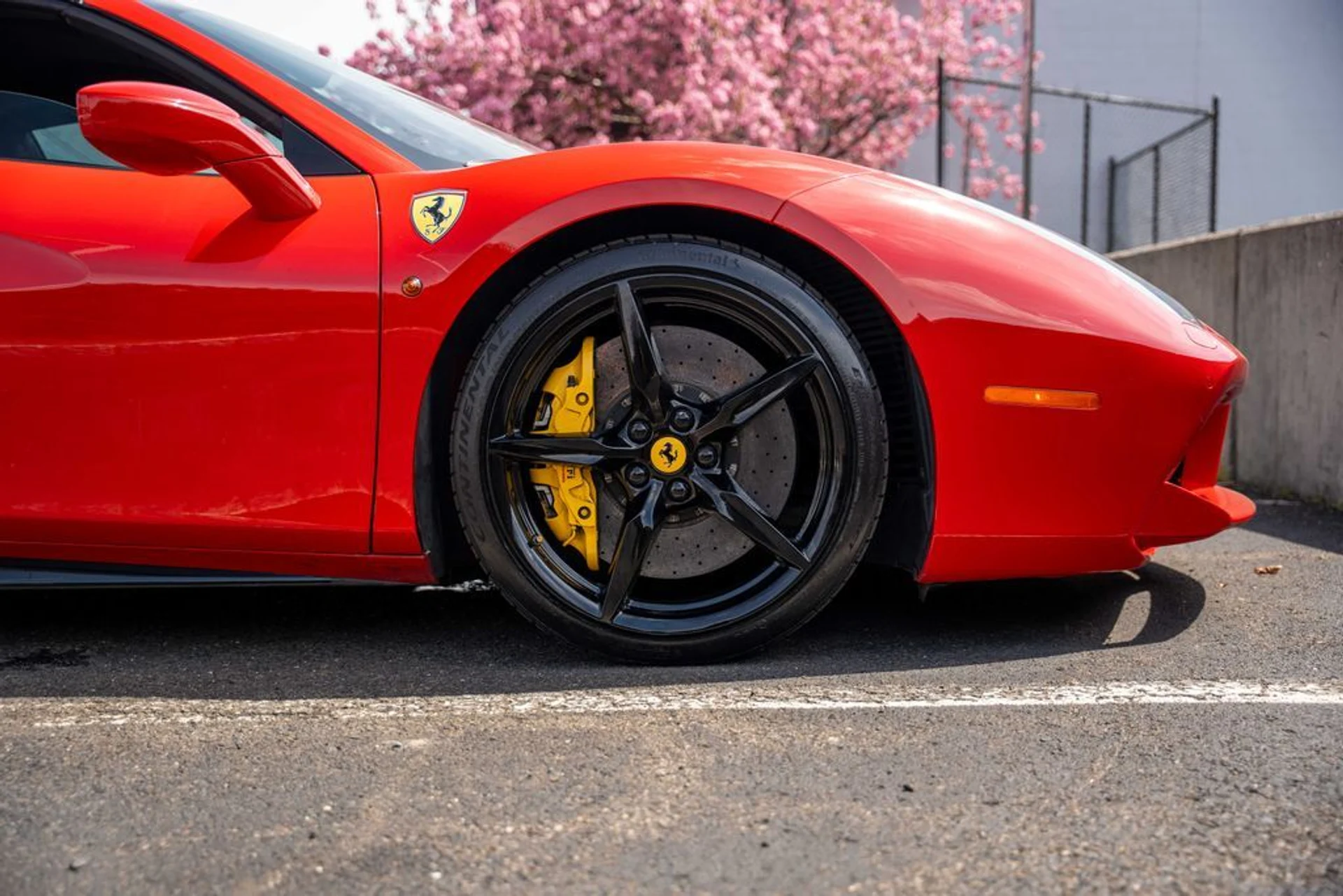 mph013_2388396682_b3326248_0258_467d_bcaf_dfee683b3862_e105f70cf8