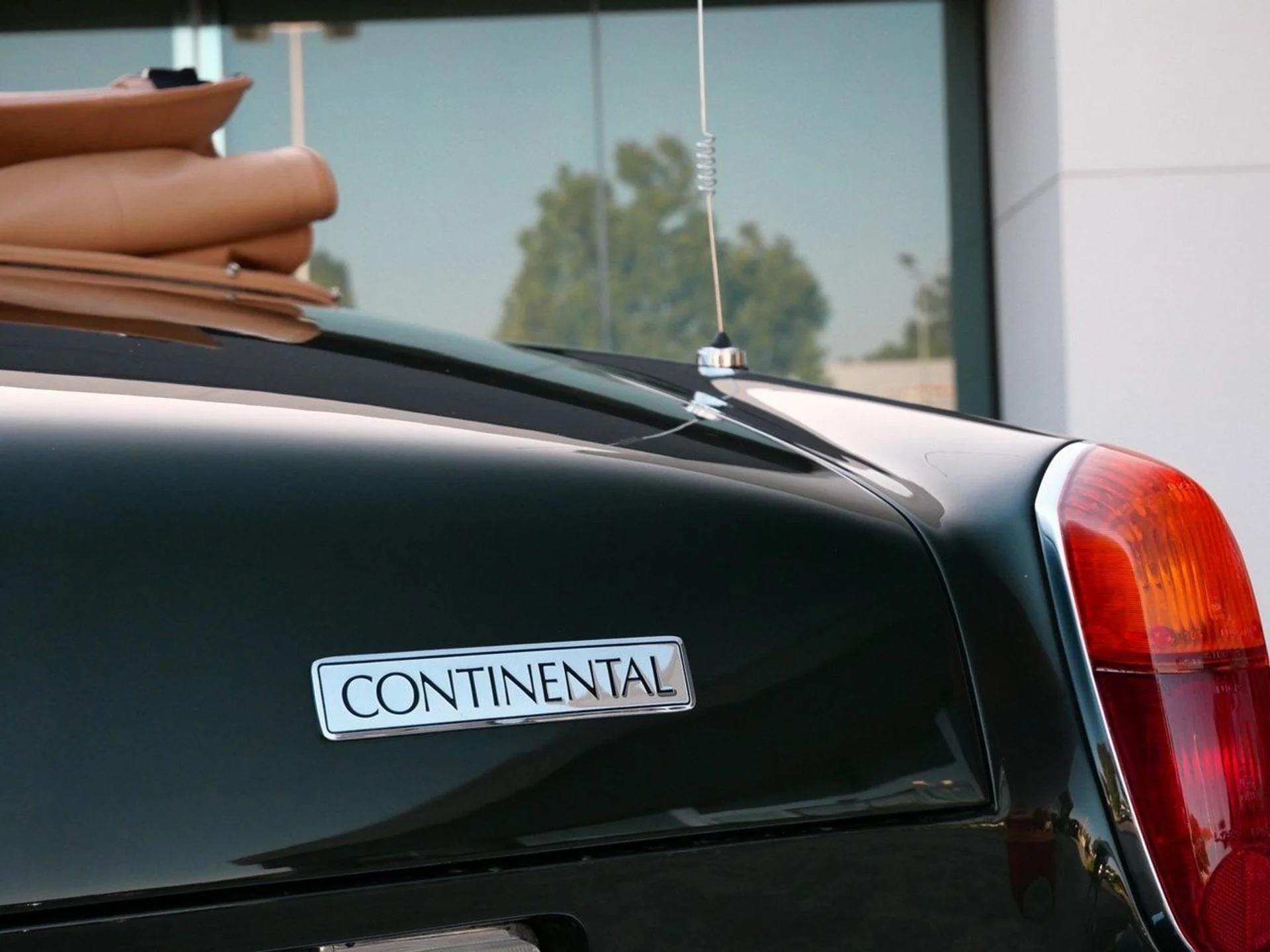 mph013_2449577903_ecdcc7f8ee813ed06e56d6c8cc57b312x_efc702033c