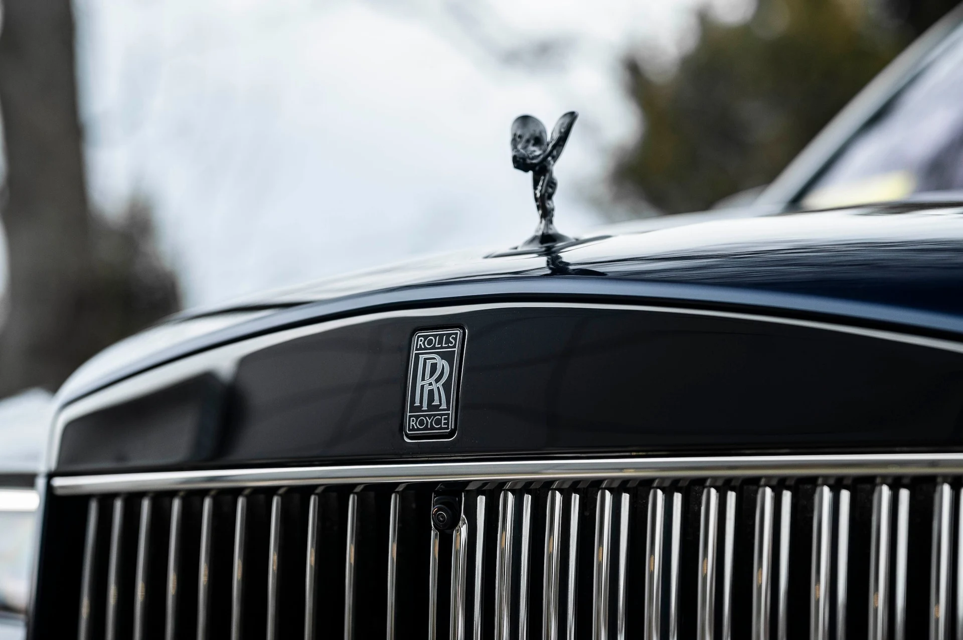 mph013_2497425349_c7fd45e703b9461c890464c99da0d734_638807b97e