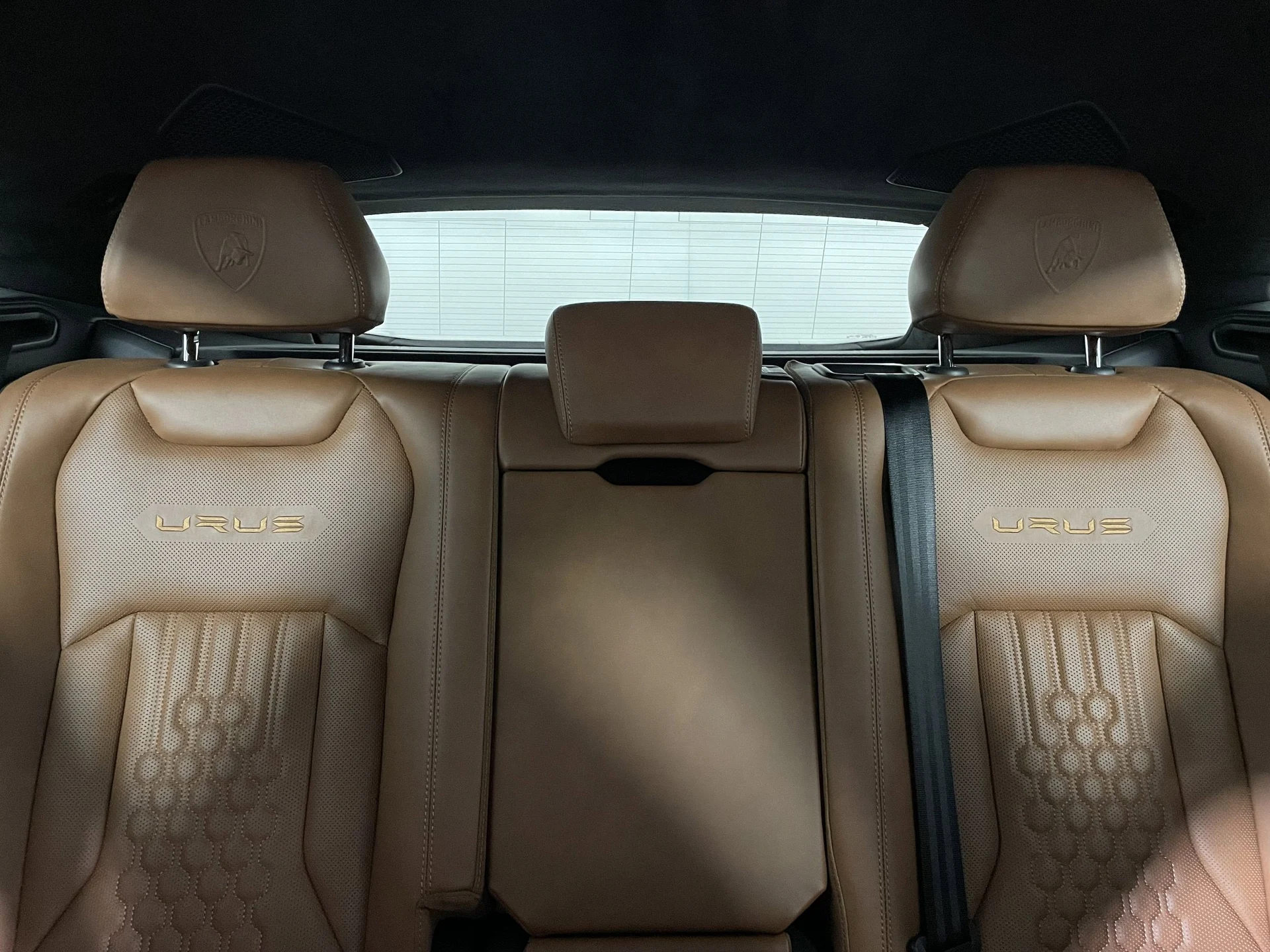 mph013_2506449827_1771669fa3bfdcc181d9edaaef1fabb4x_0be4dd7fbb