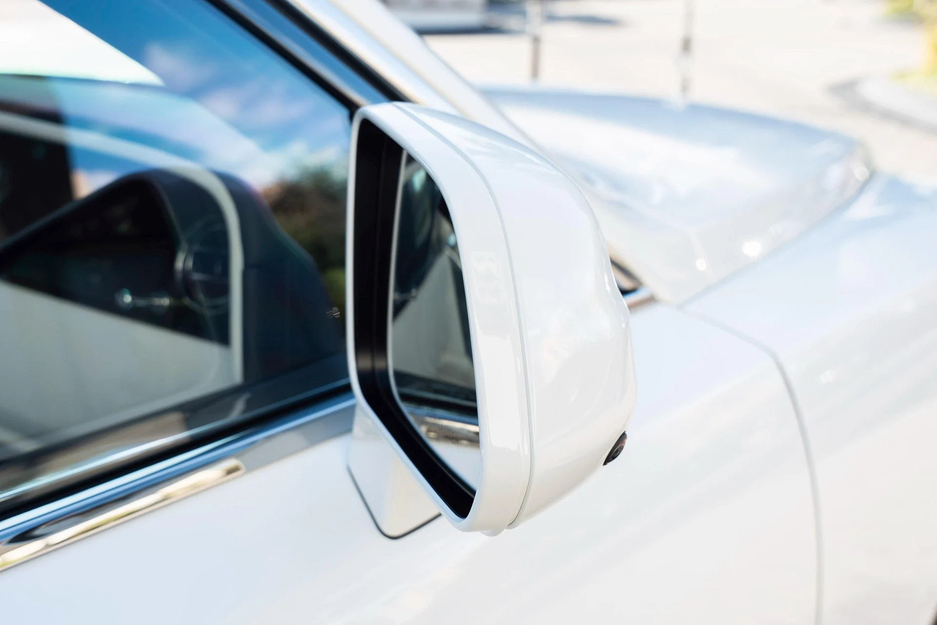 mph013_2508560500_476162068_695cc6038f3ee920bf5188c2_b9e76af471