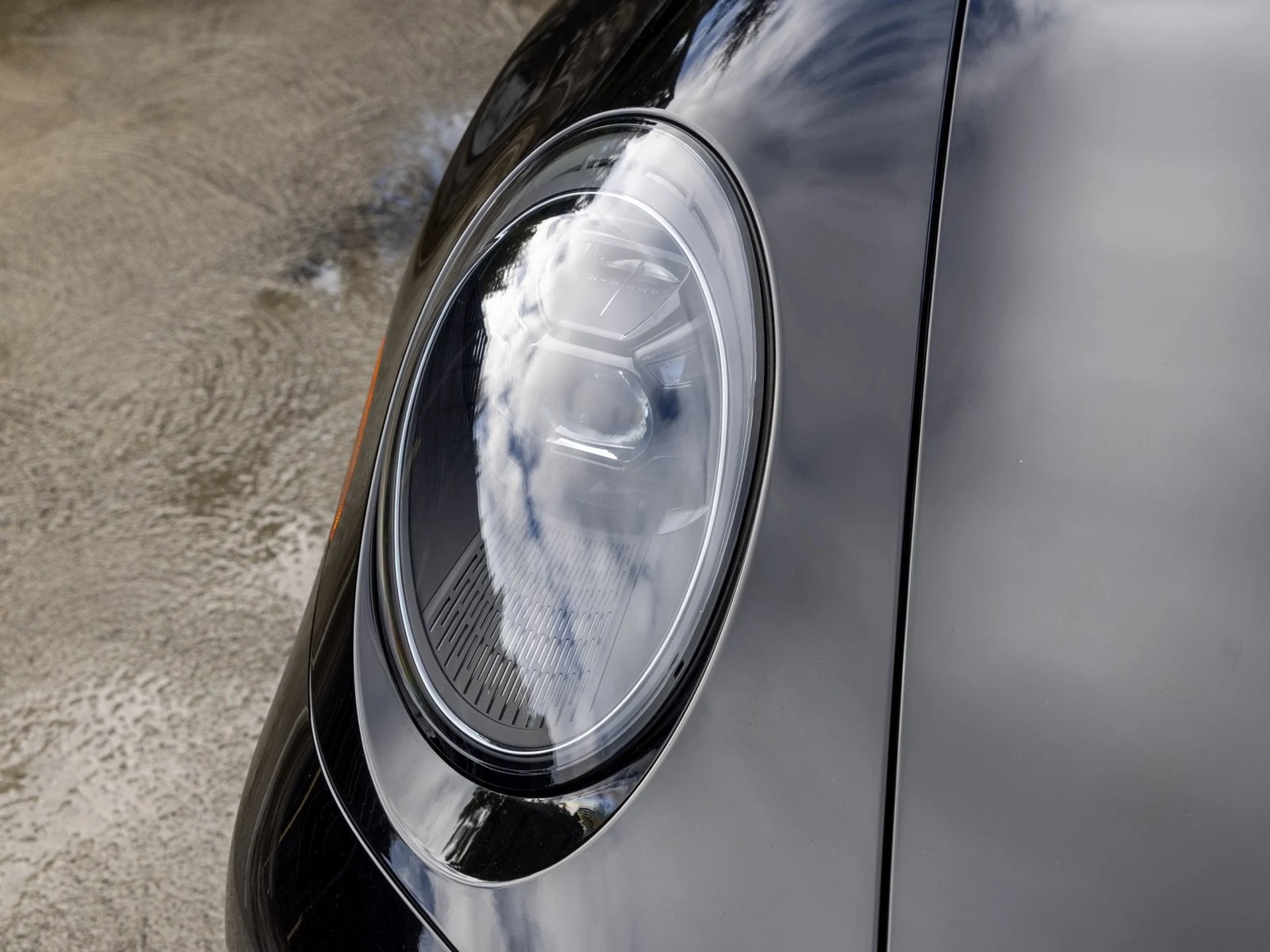 mph013_2564455616_14_881092878c