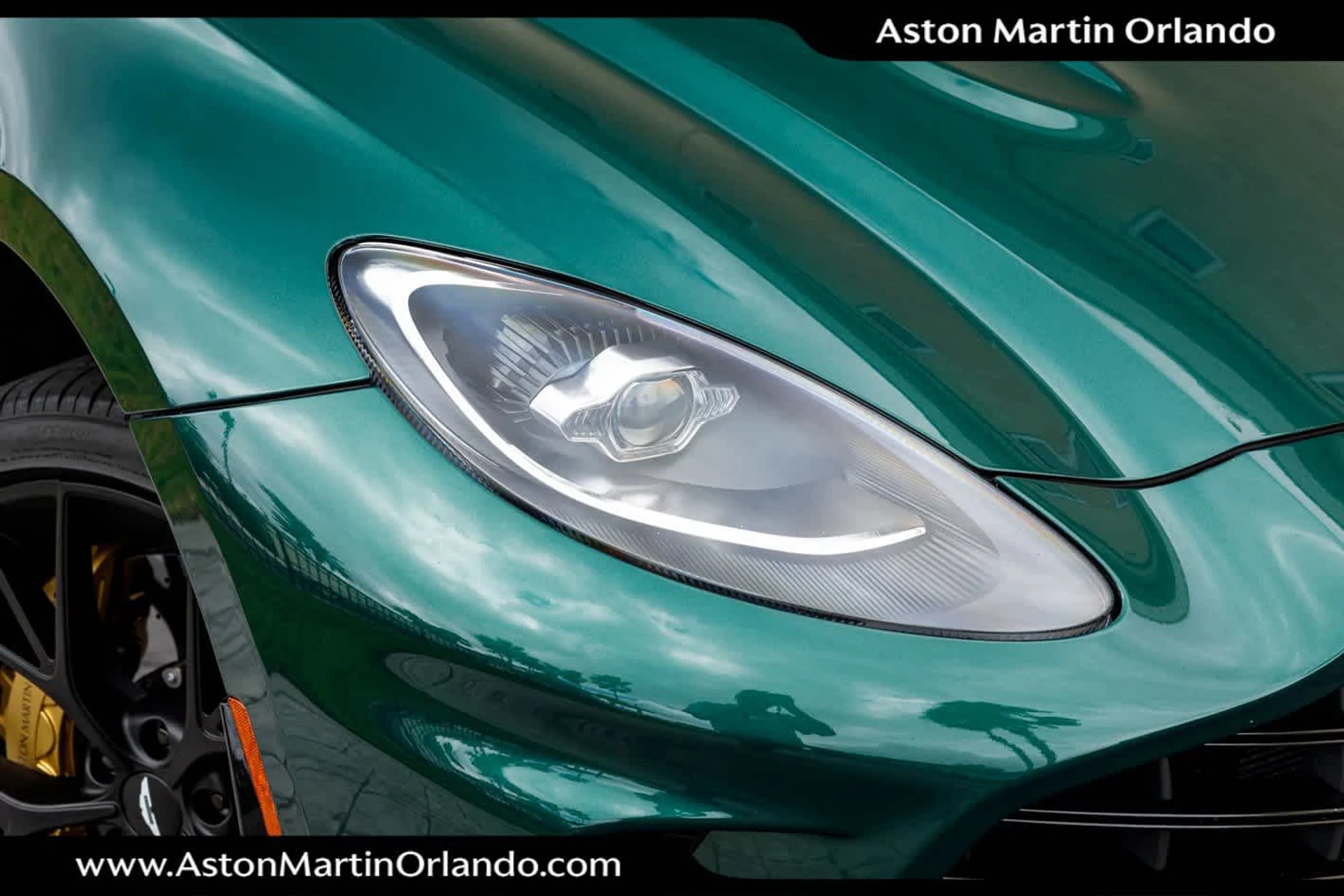 mph013_2613492723_14_4cfb5c5d9b