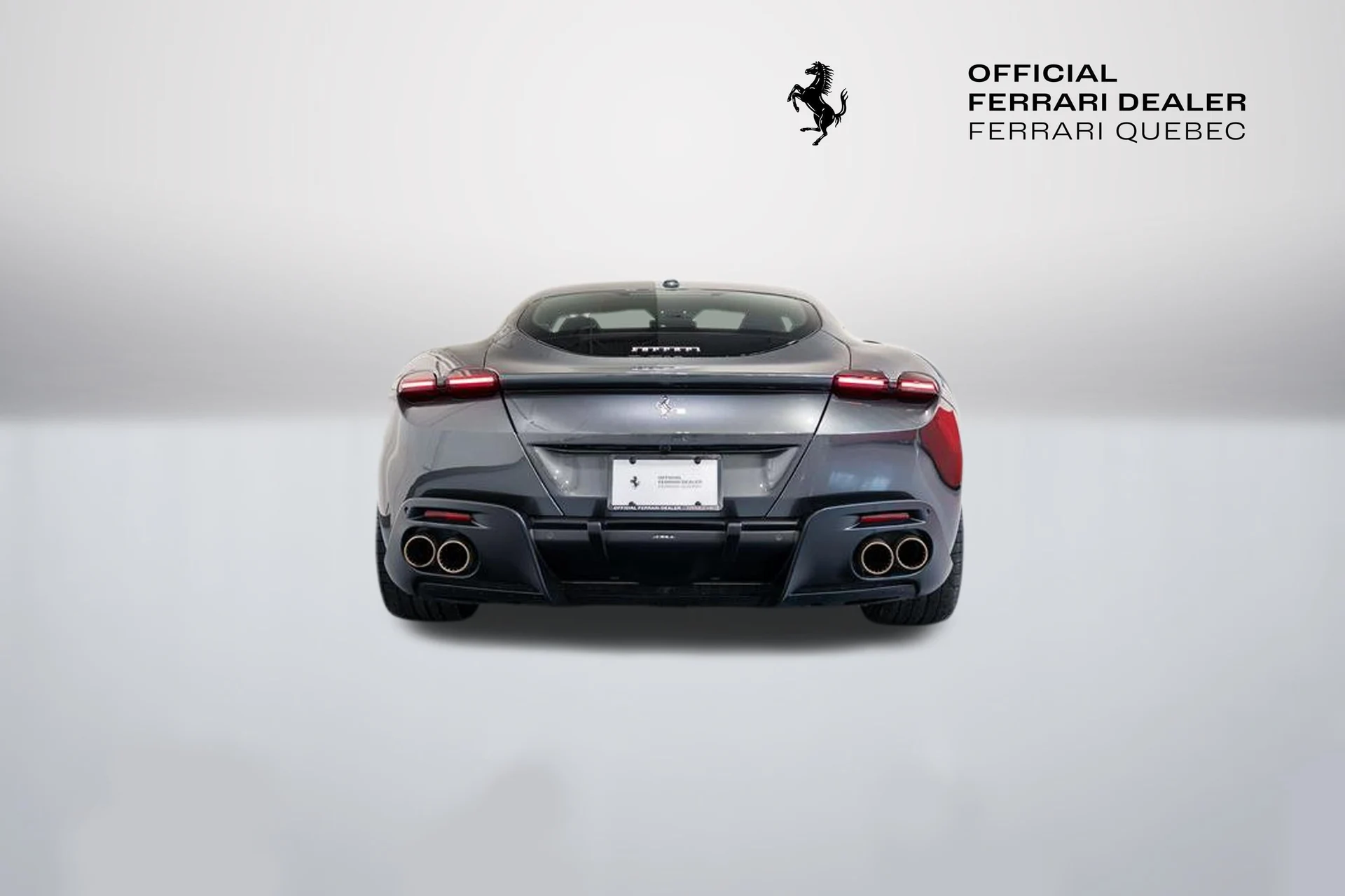 mph013_268244264_2b8dd655430f4ce9bcafe63950ac8ba5_d8d5b1c7a6