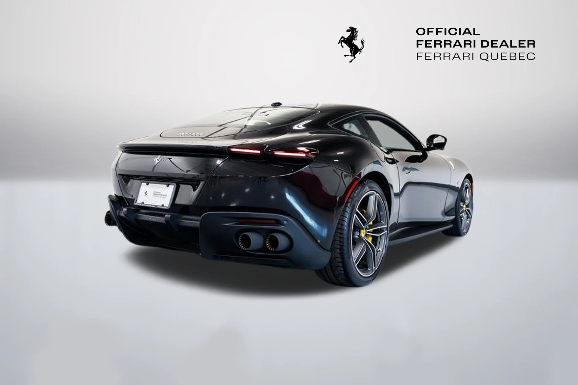 mph013_2696677348_b1609423bf3a4bb598a0085fa6eedd5e_3ba9dce58e