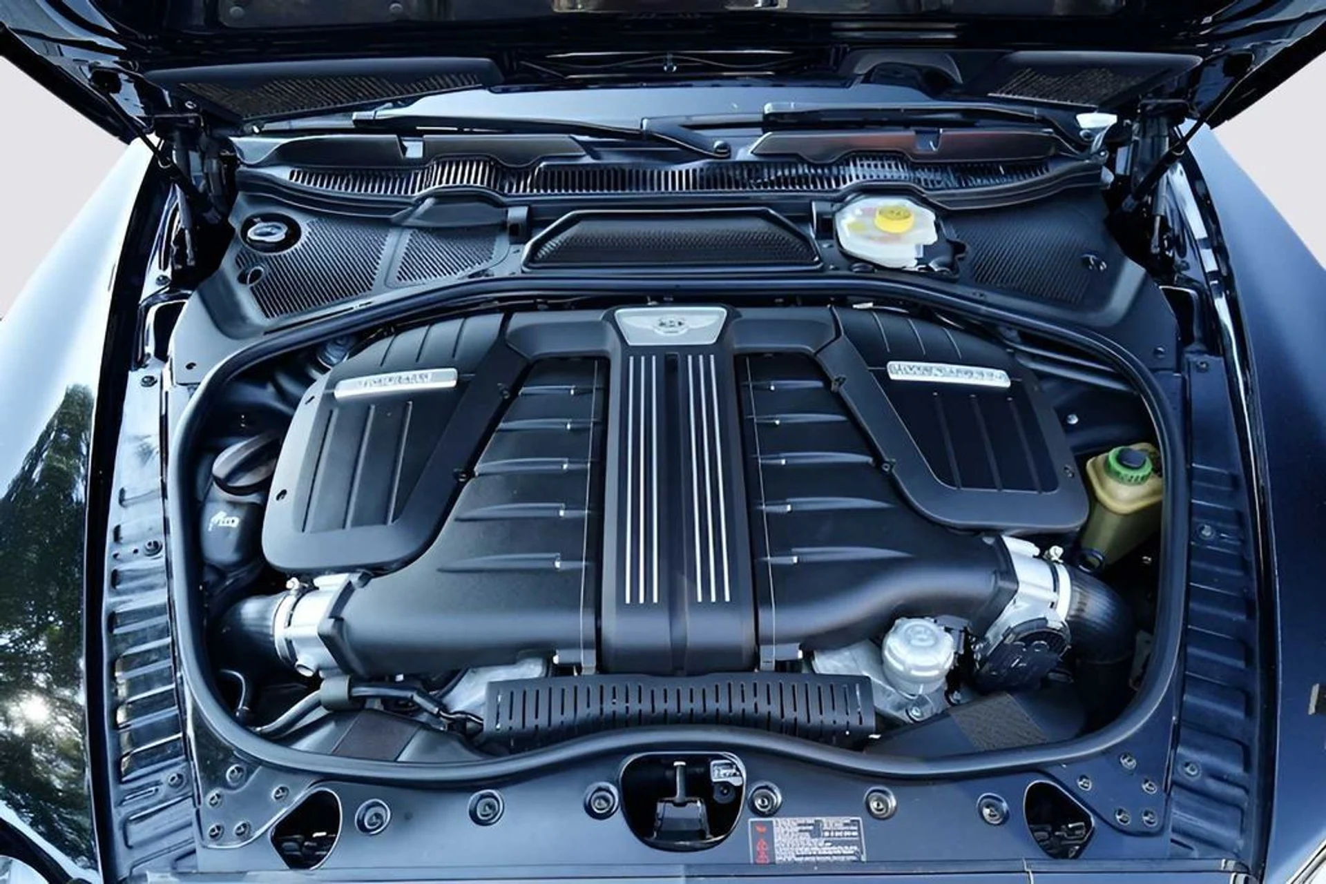 mph013_2715100760_1bcbf85d28ceb15fa1bbe2a0eb94ad05x_e576d628a6