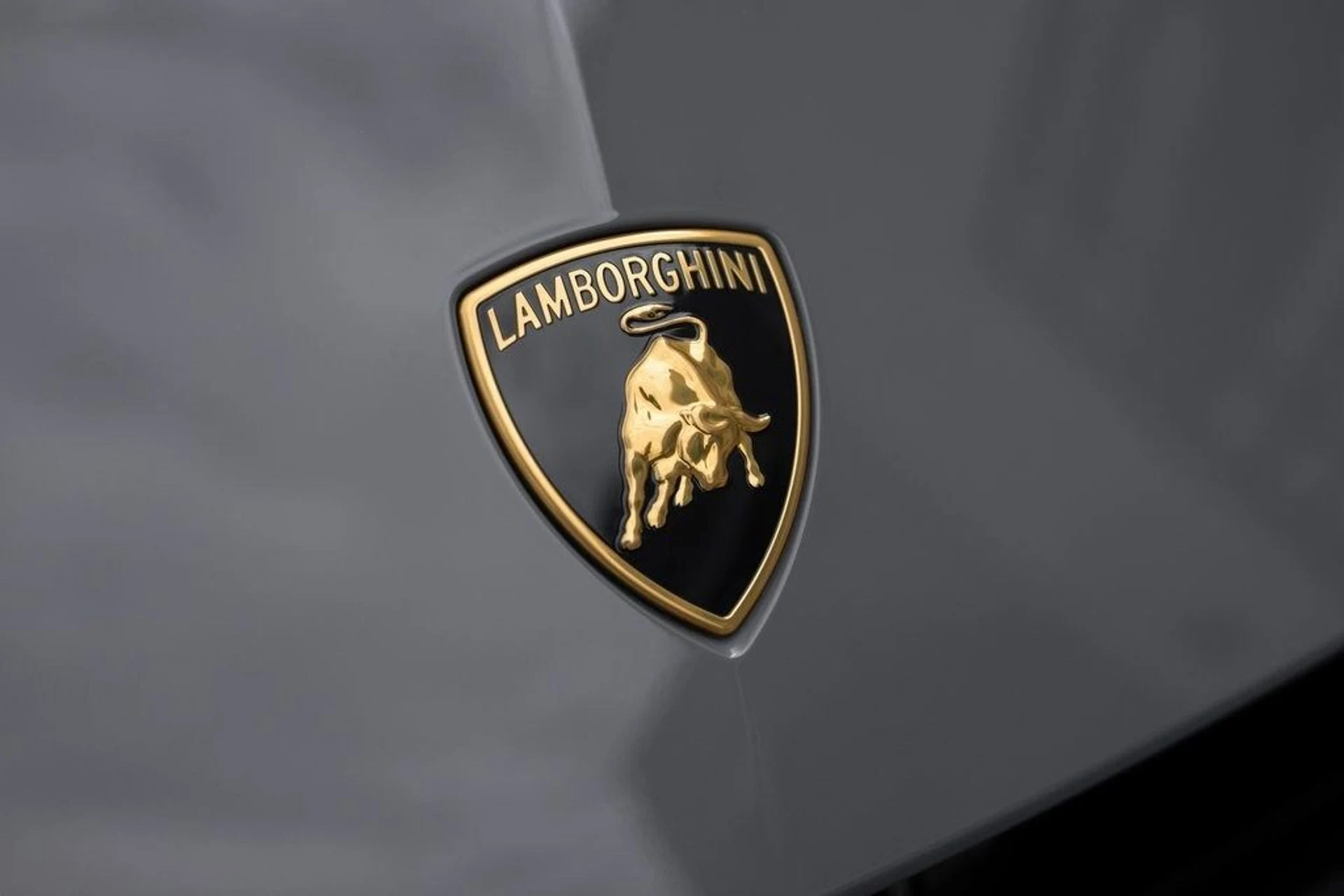 mph013_2936631123_a6b7b7c46ac2a7c7333e336fa92e0fdfx_b149fdd51b