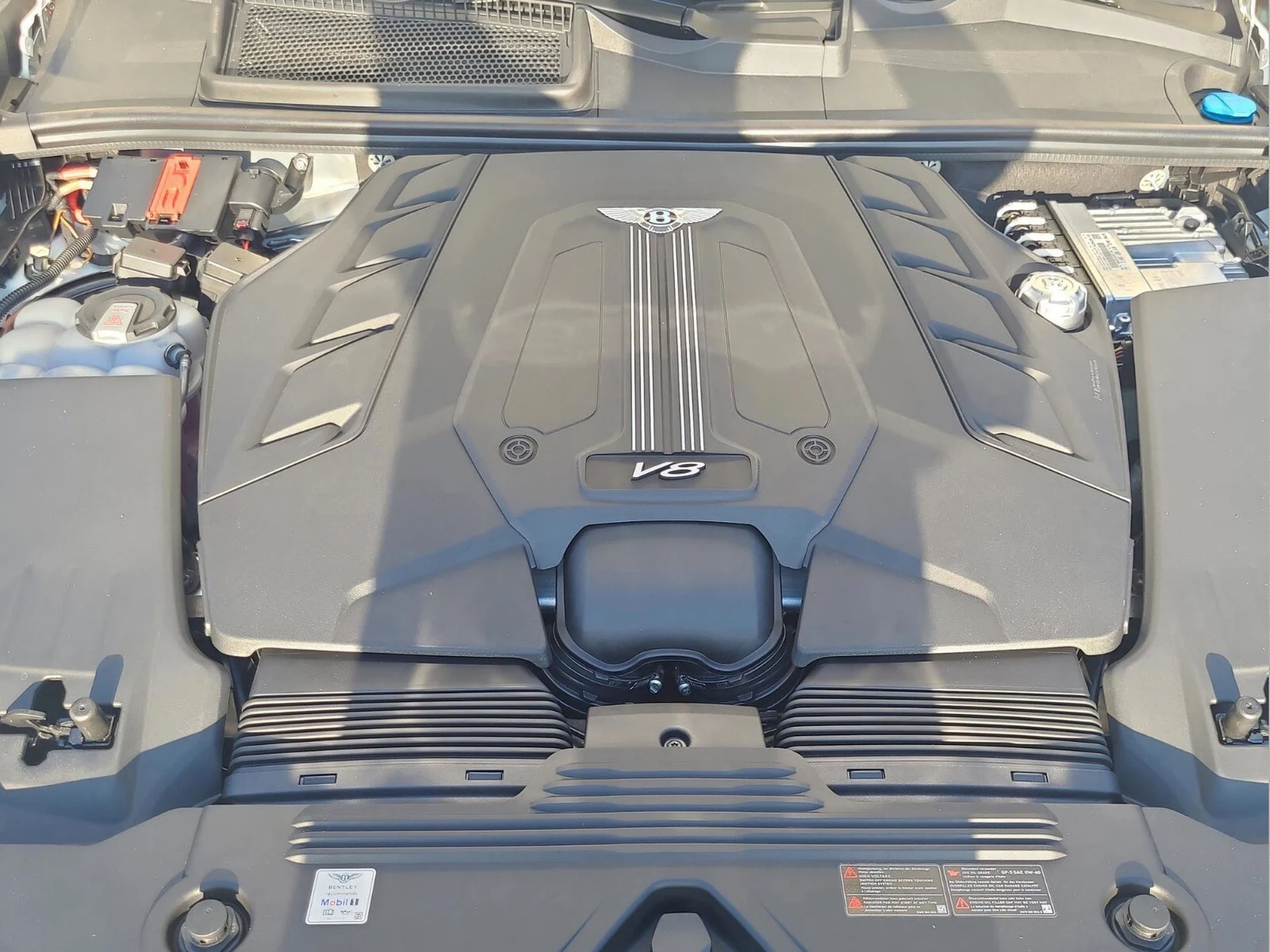 mph013_2959831614_25bcffb10d3f61b8d8237d44021e1b13x_73682ee973