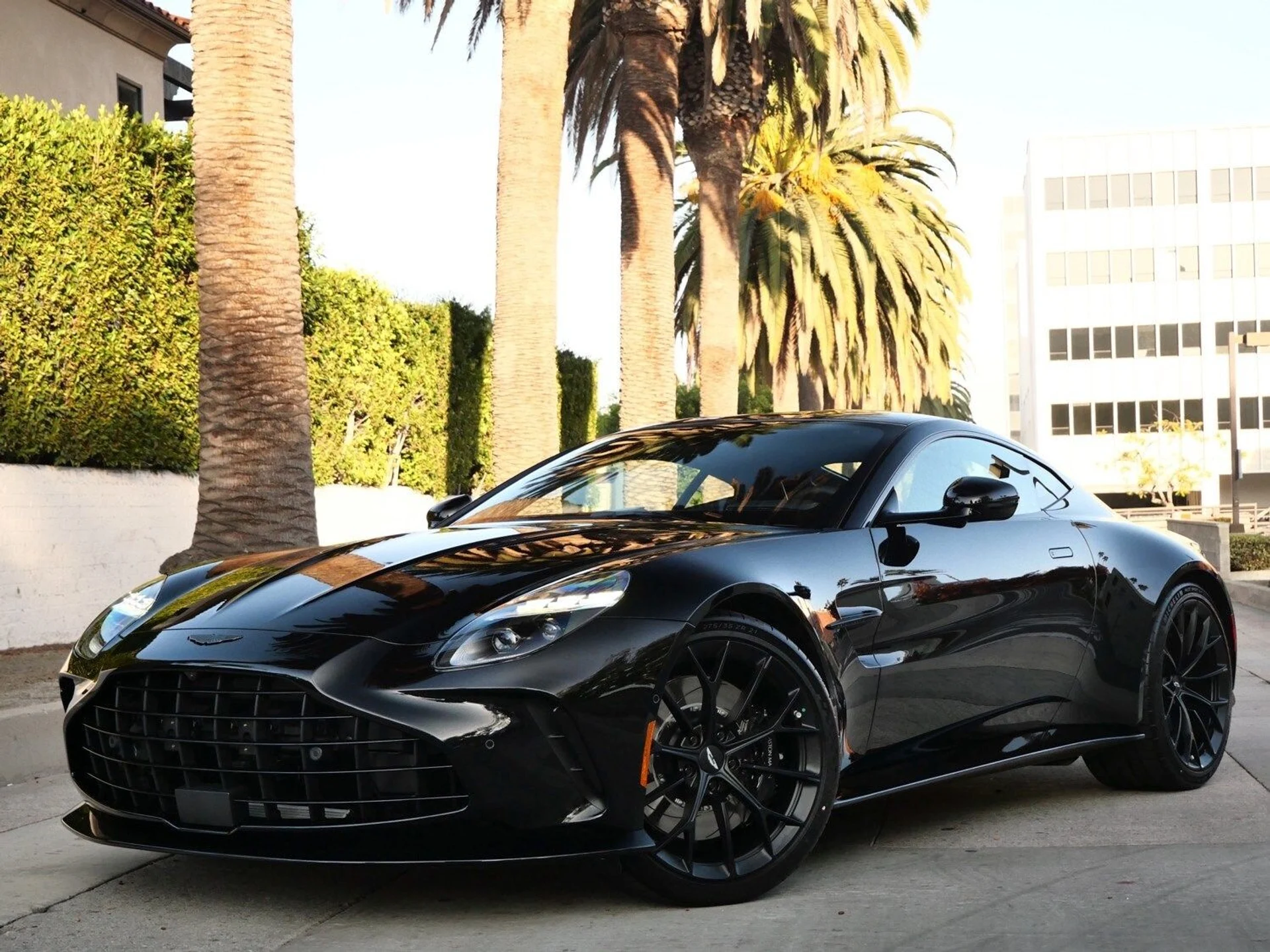 mph013_3129677289_72a91acc24355f2f36d7372903ba6ea5x_4b60a33adc