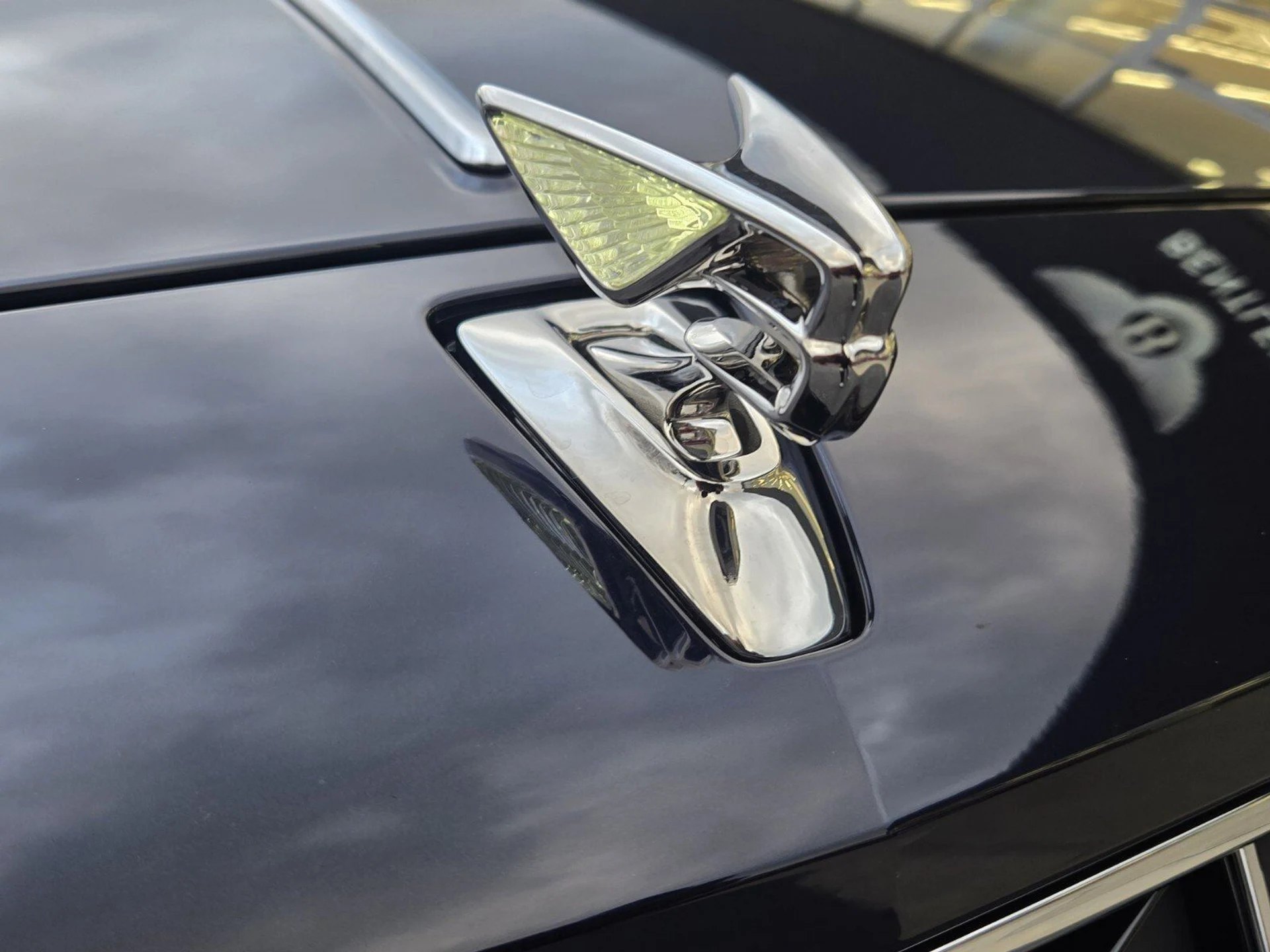 mph013_3230441073_d584765a04ae579fb3ae564e5f8c4ff8x_a3790230b4