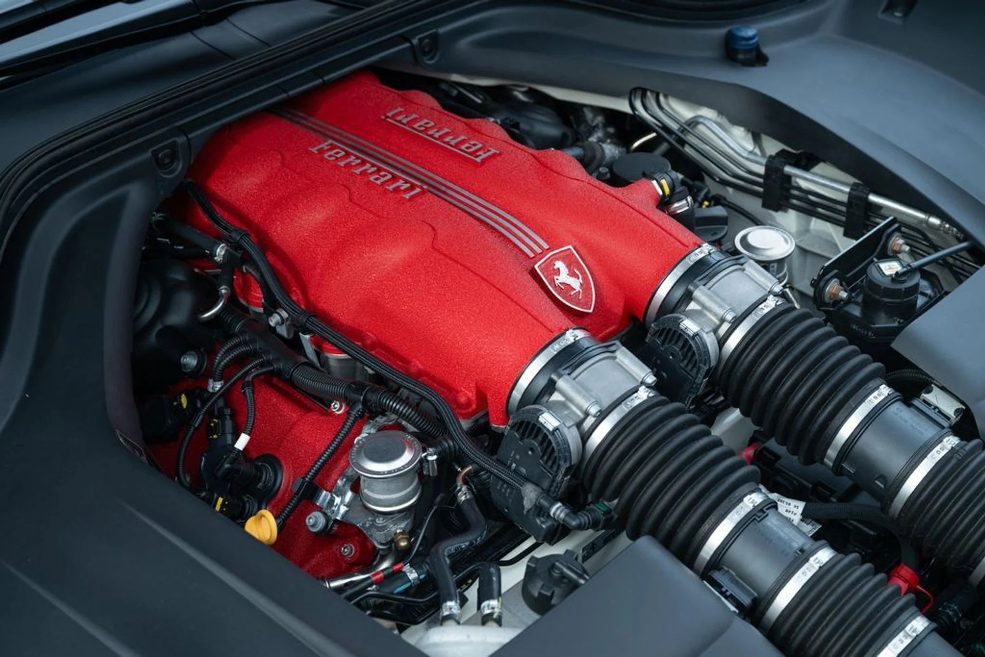 mph013_3232037610_8ad5d9da79e24c8995d0b02b252df5a1_25a3445795