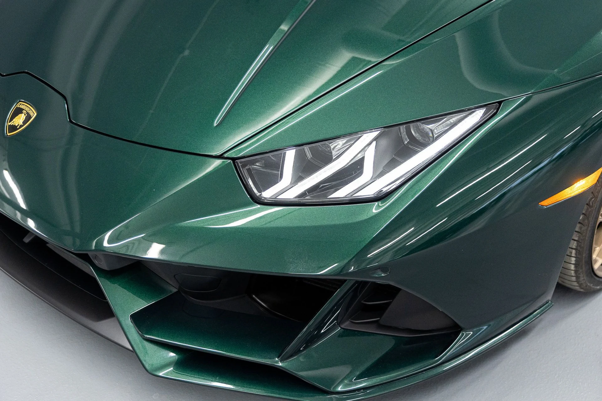 mph013_3350085073_c6f63d4f51e9bee83fcf2fbd1a95629ex_0ed281eda3