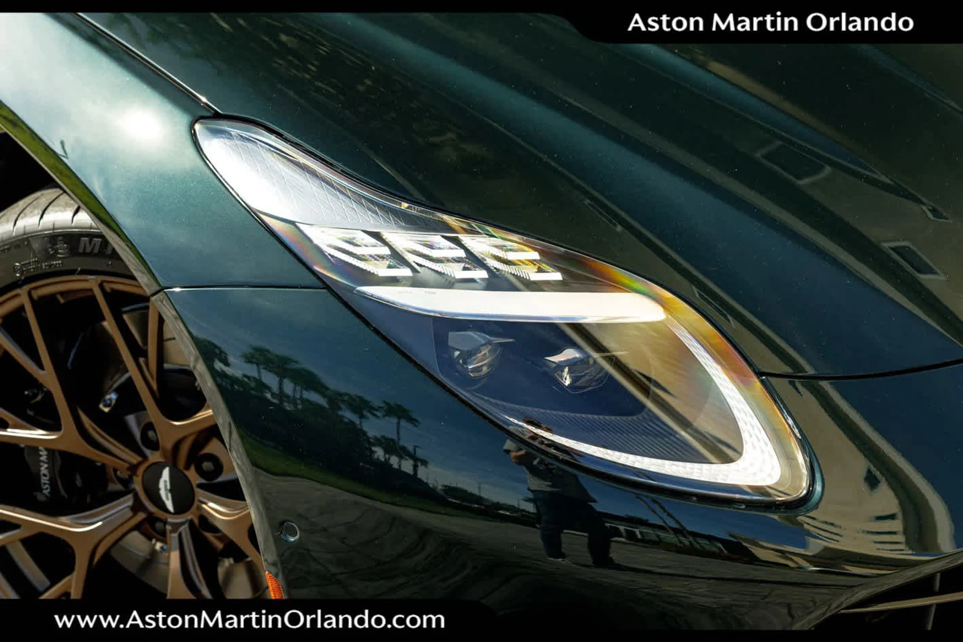 mph013_3360341973_14_85b969ce0b